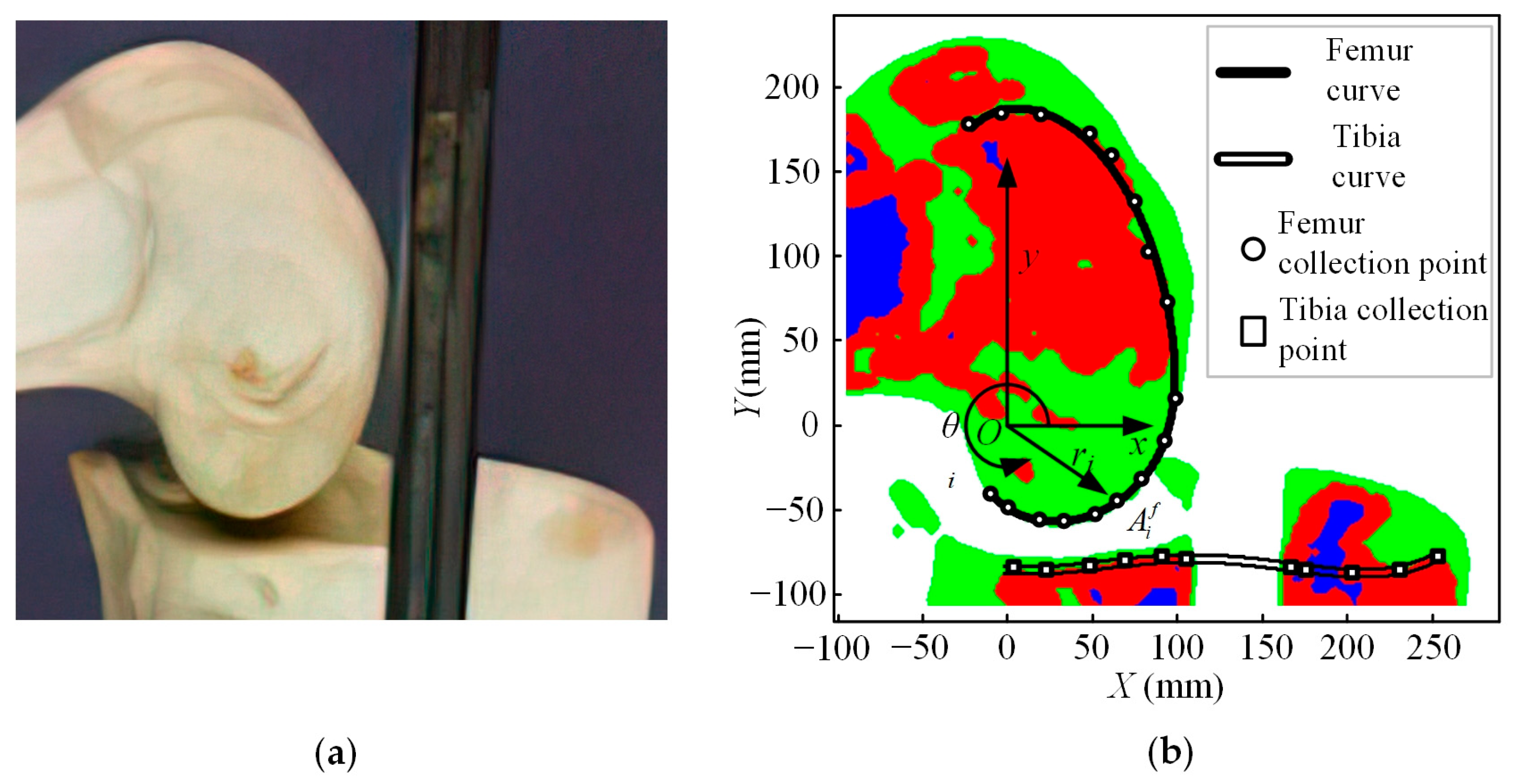 Bioengineering 10 00582 g001