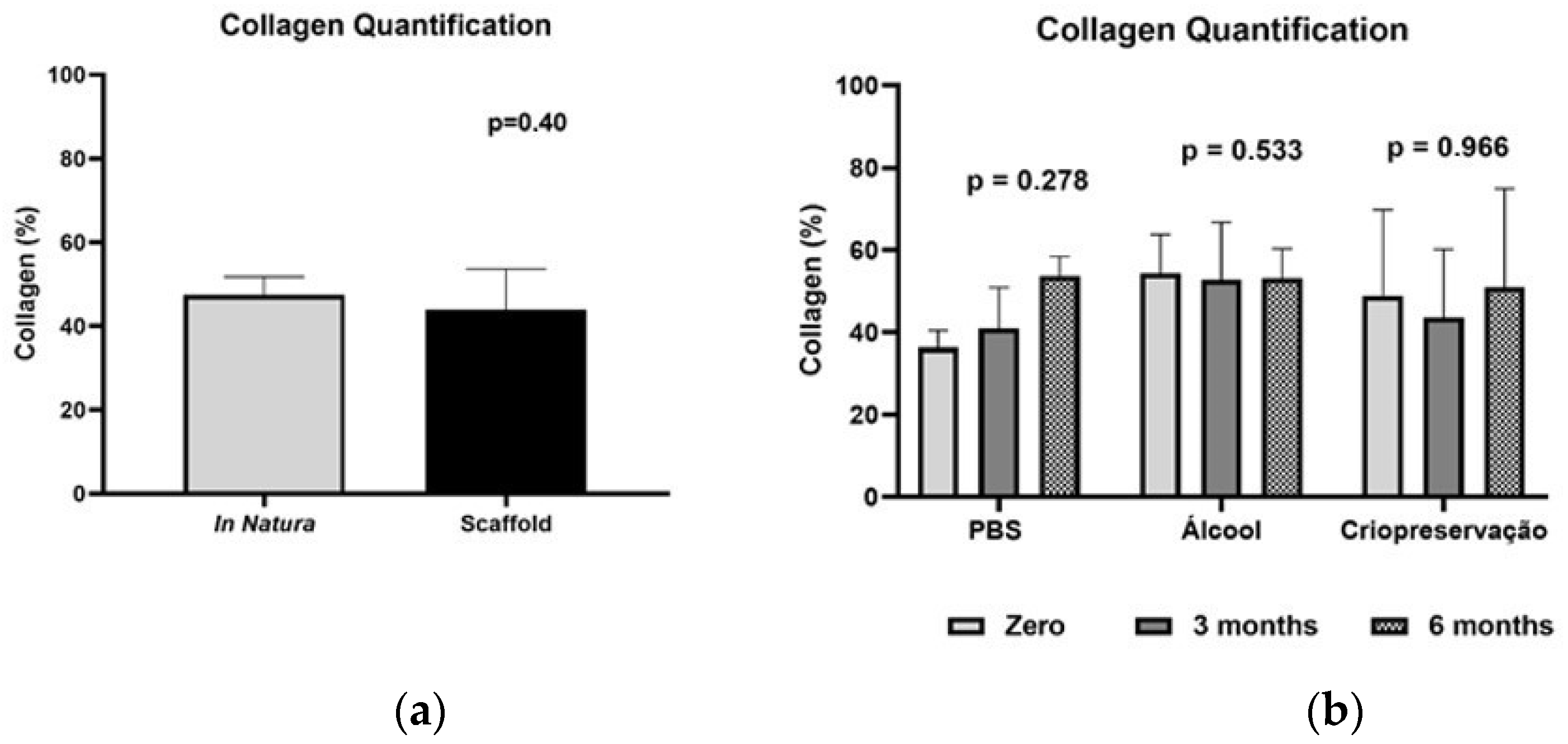 Bioengineering 10 00584 g006