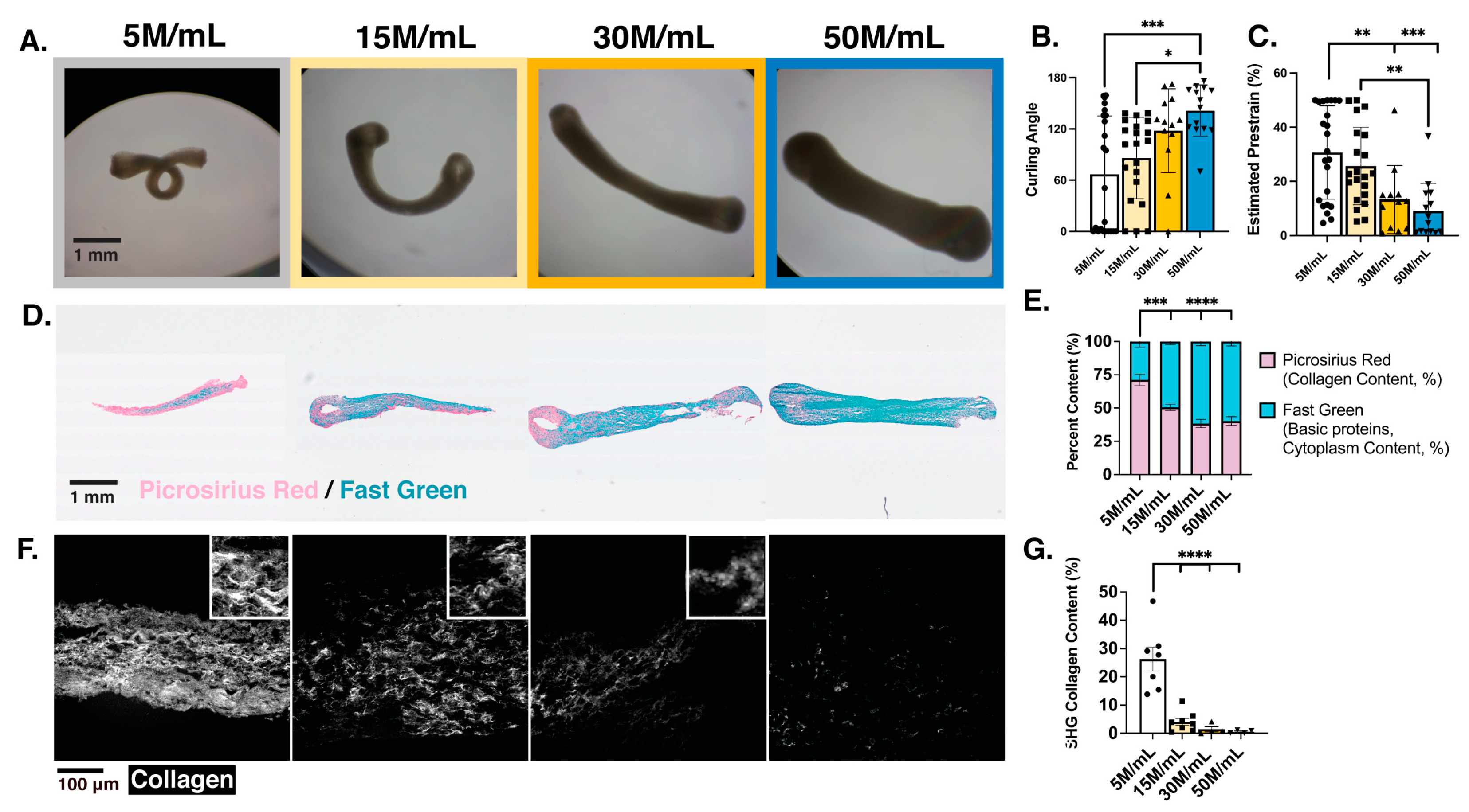 Bioengineering 10 00587 g004