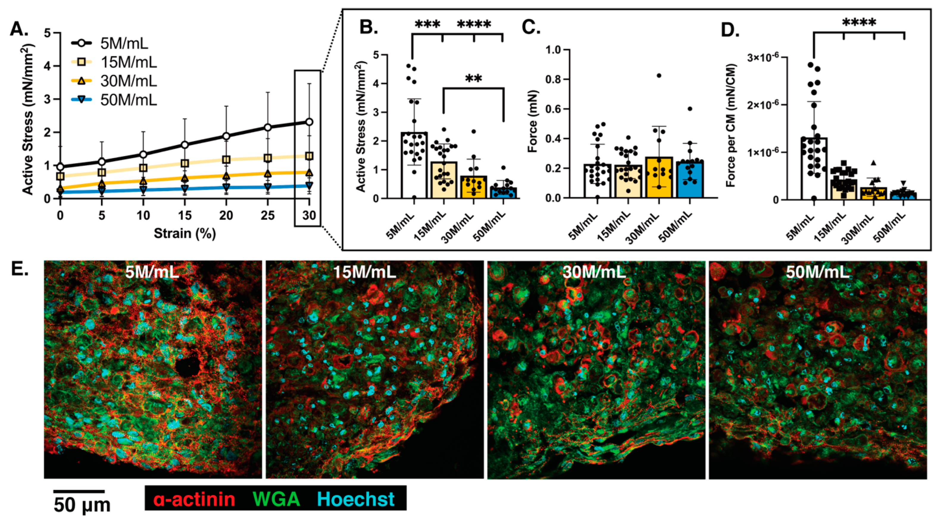 Bioengineering 10 00587 g005
