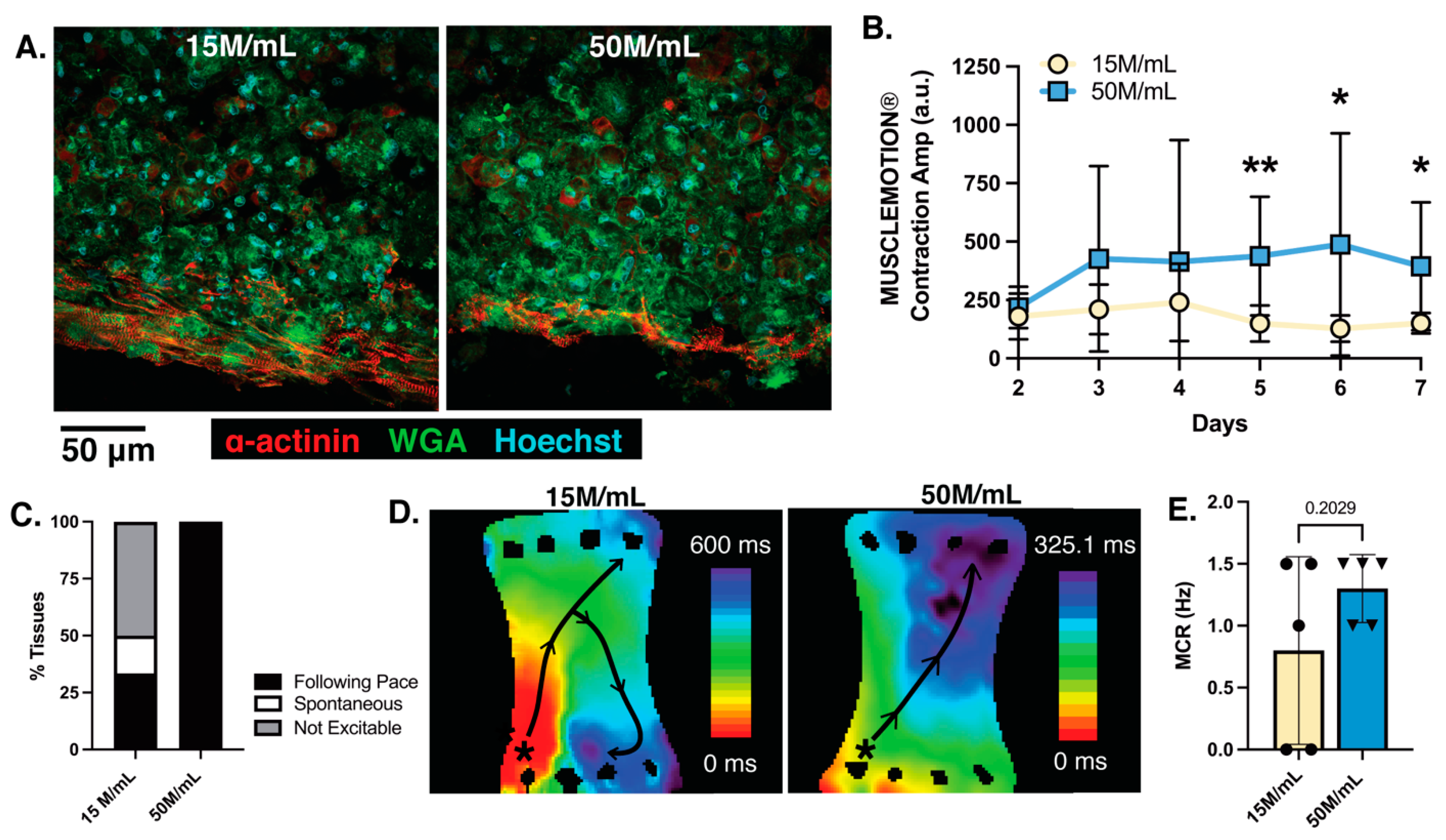 Bioengineering 10 00587 g007