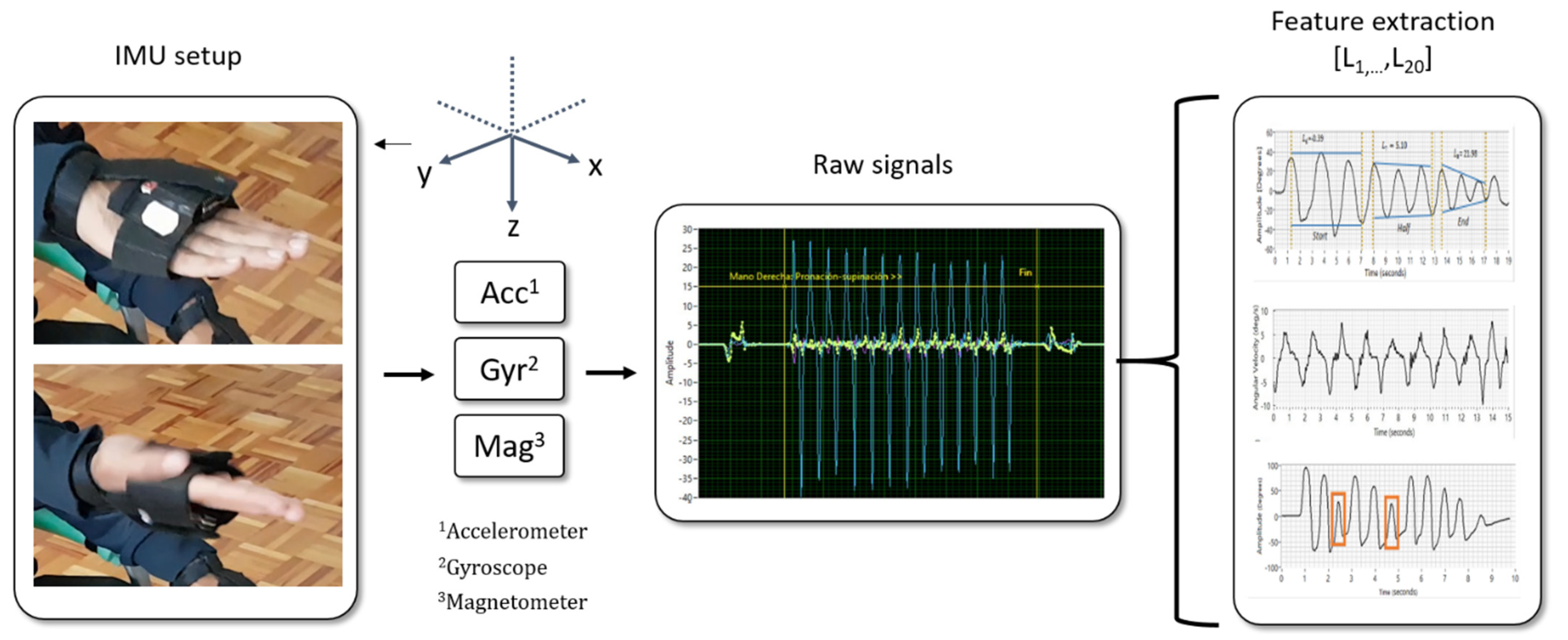 Bioengineering 10 00588 g001