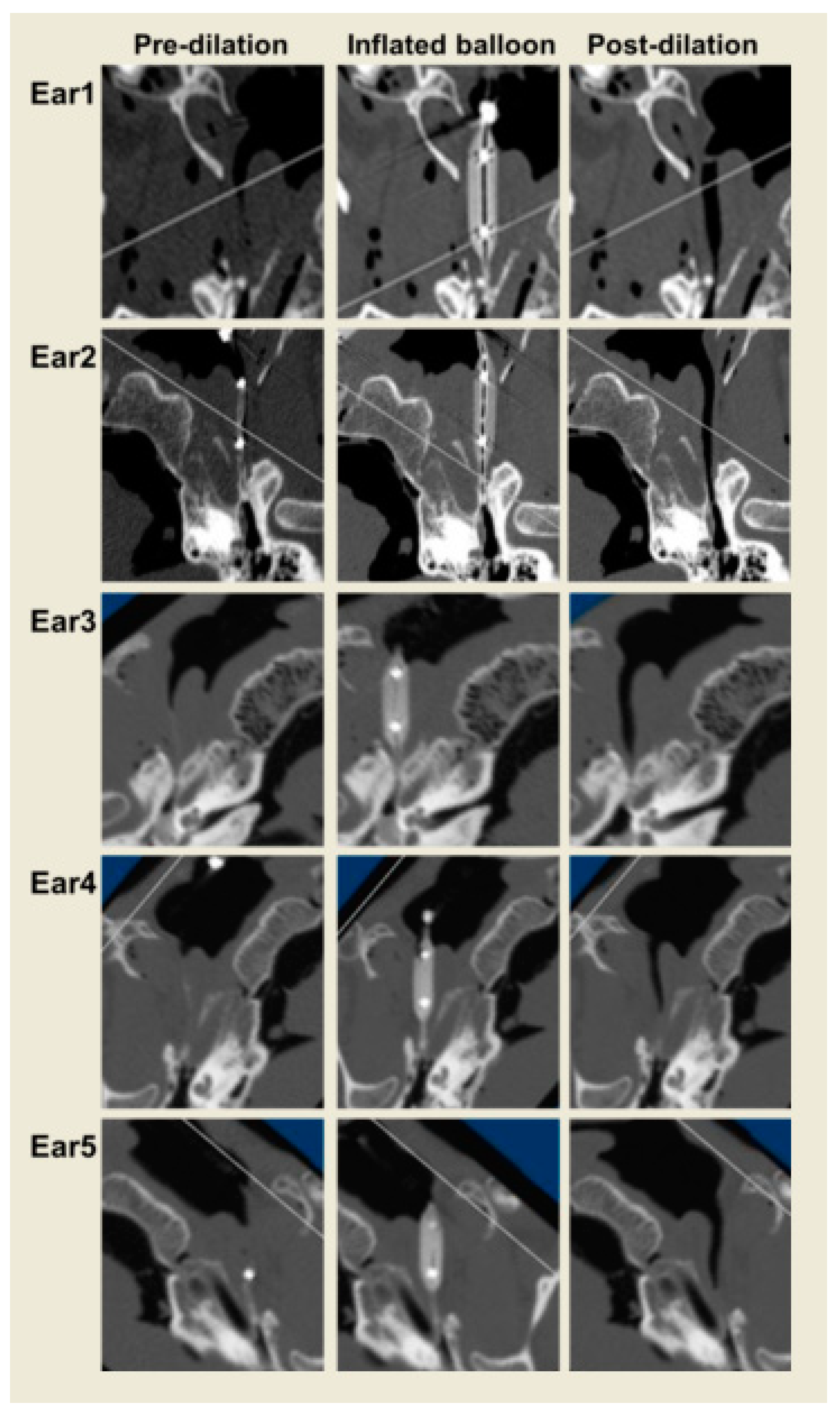 Bioengineering 10 00592 g008