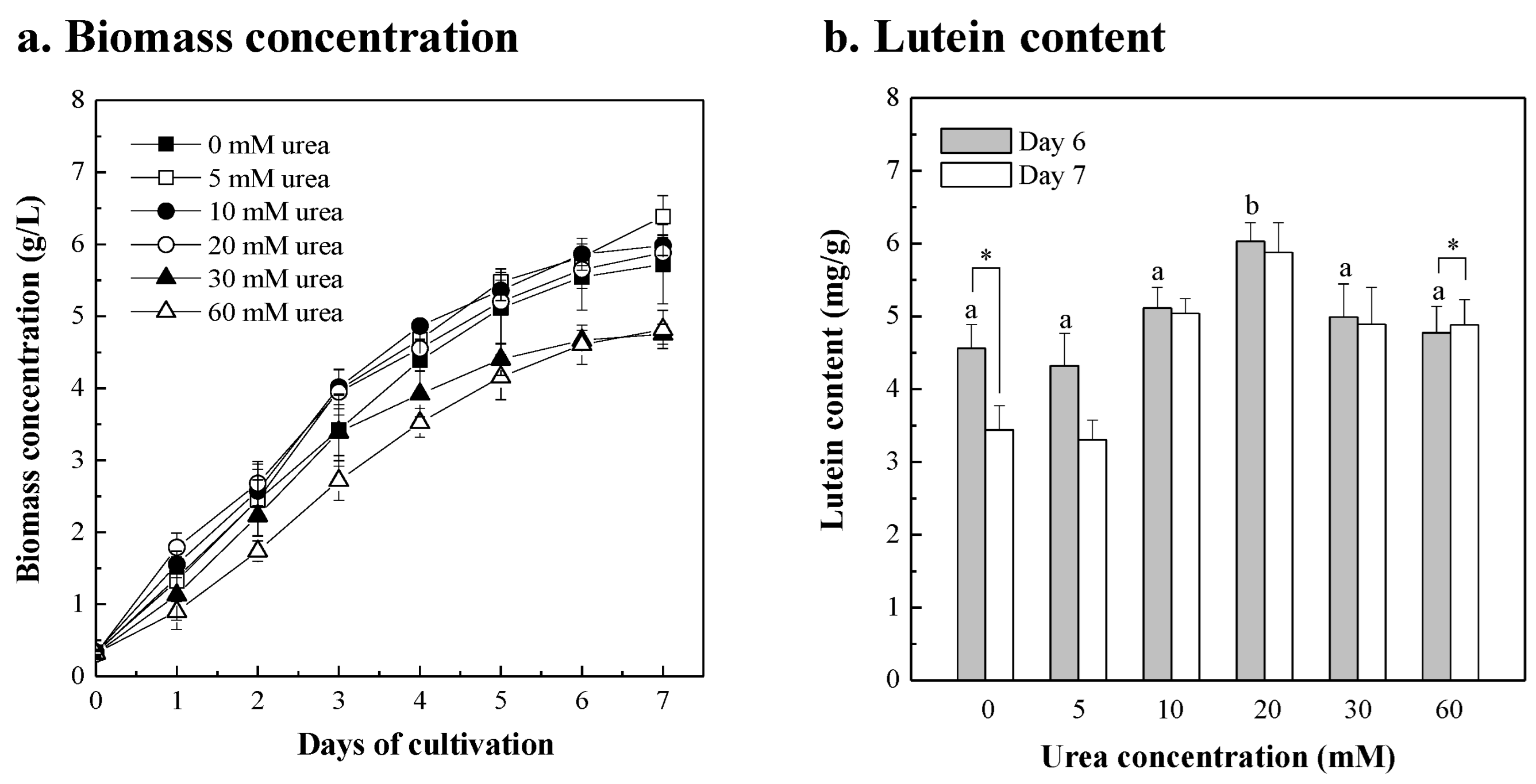 Bioengineering 10 00594 g004