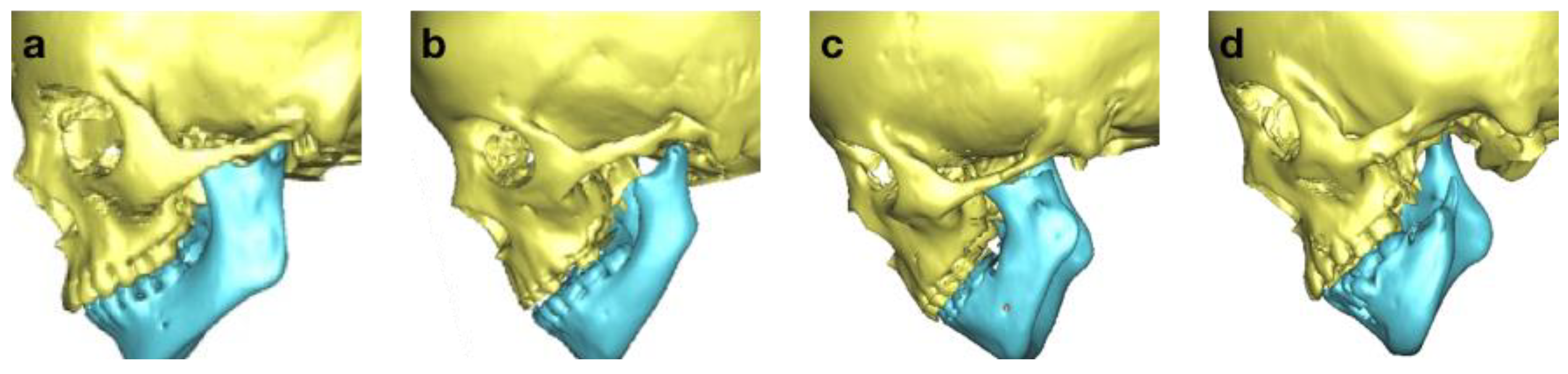 Bioengineering 10 00595 g001