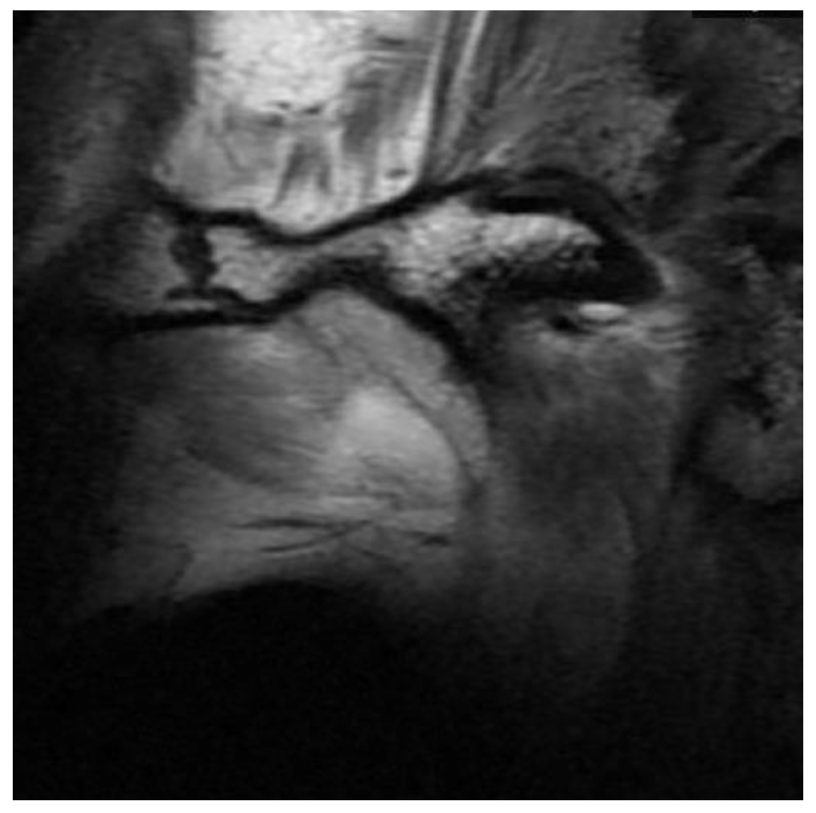 Bioengineering 10 00595 g005