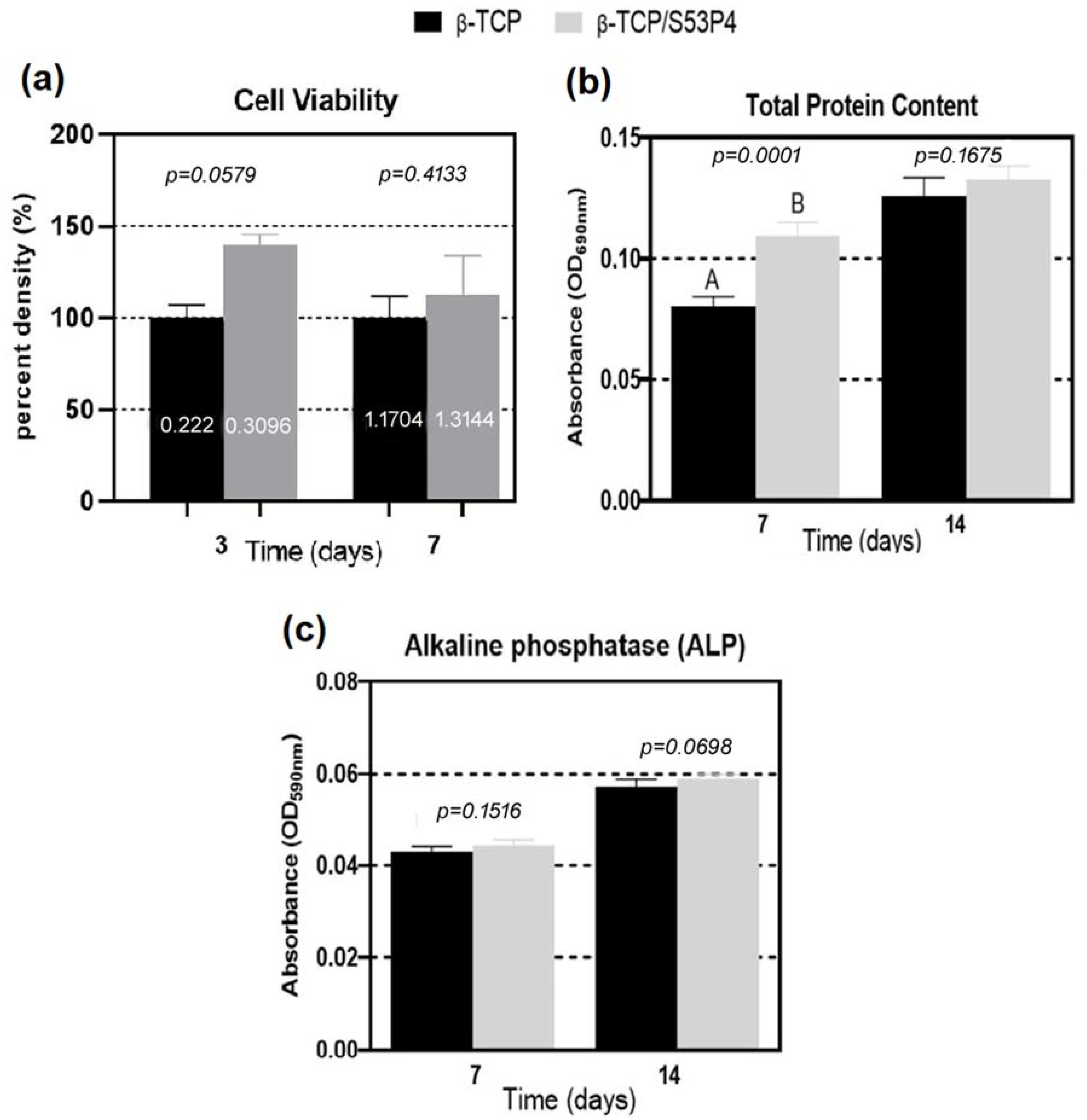 Bioengineering 10 00597 g004