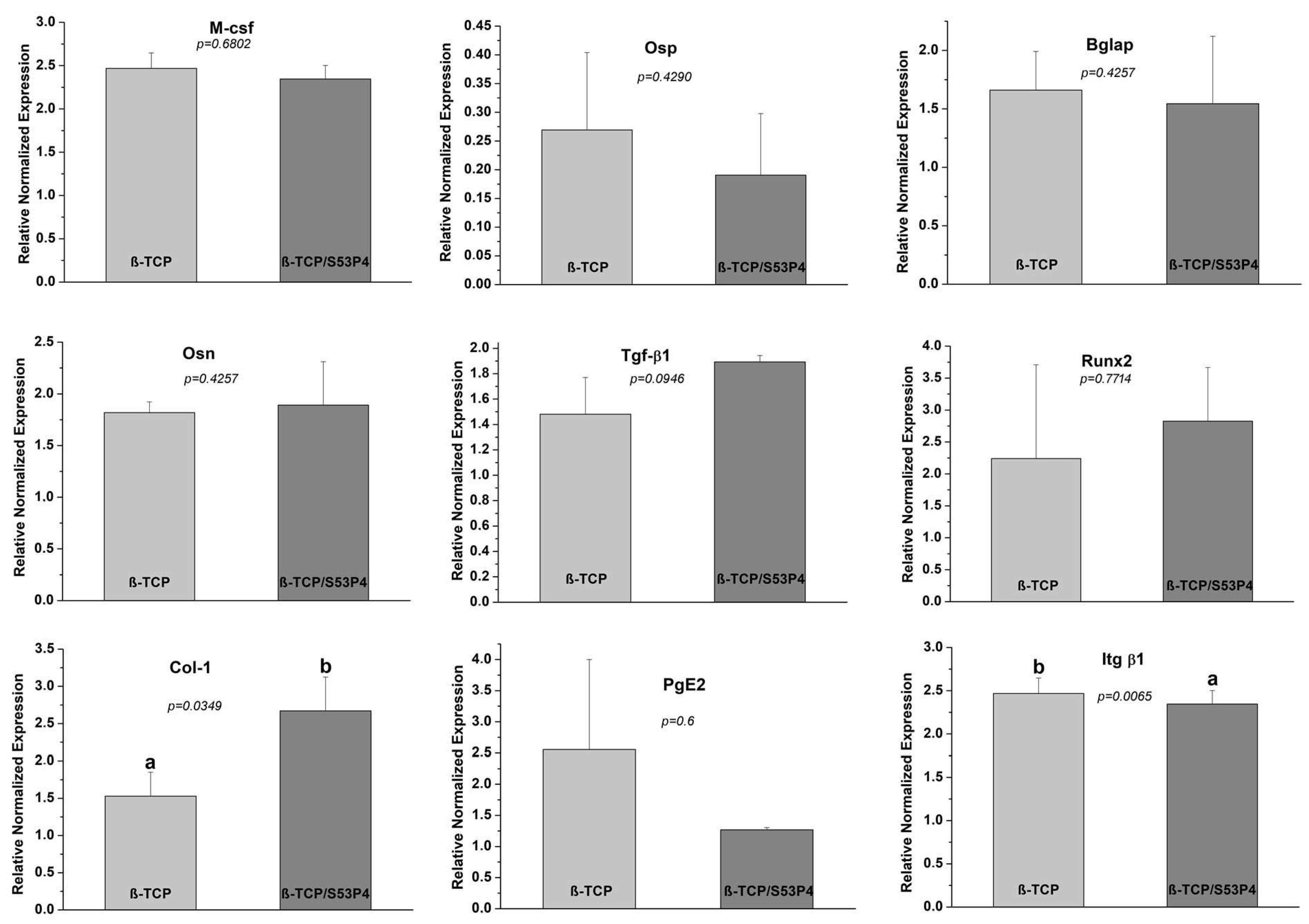 Bioengineering 10 00597 g006