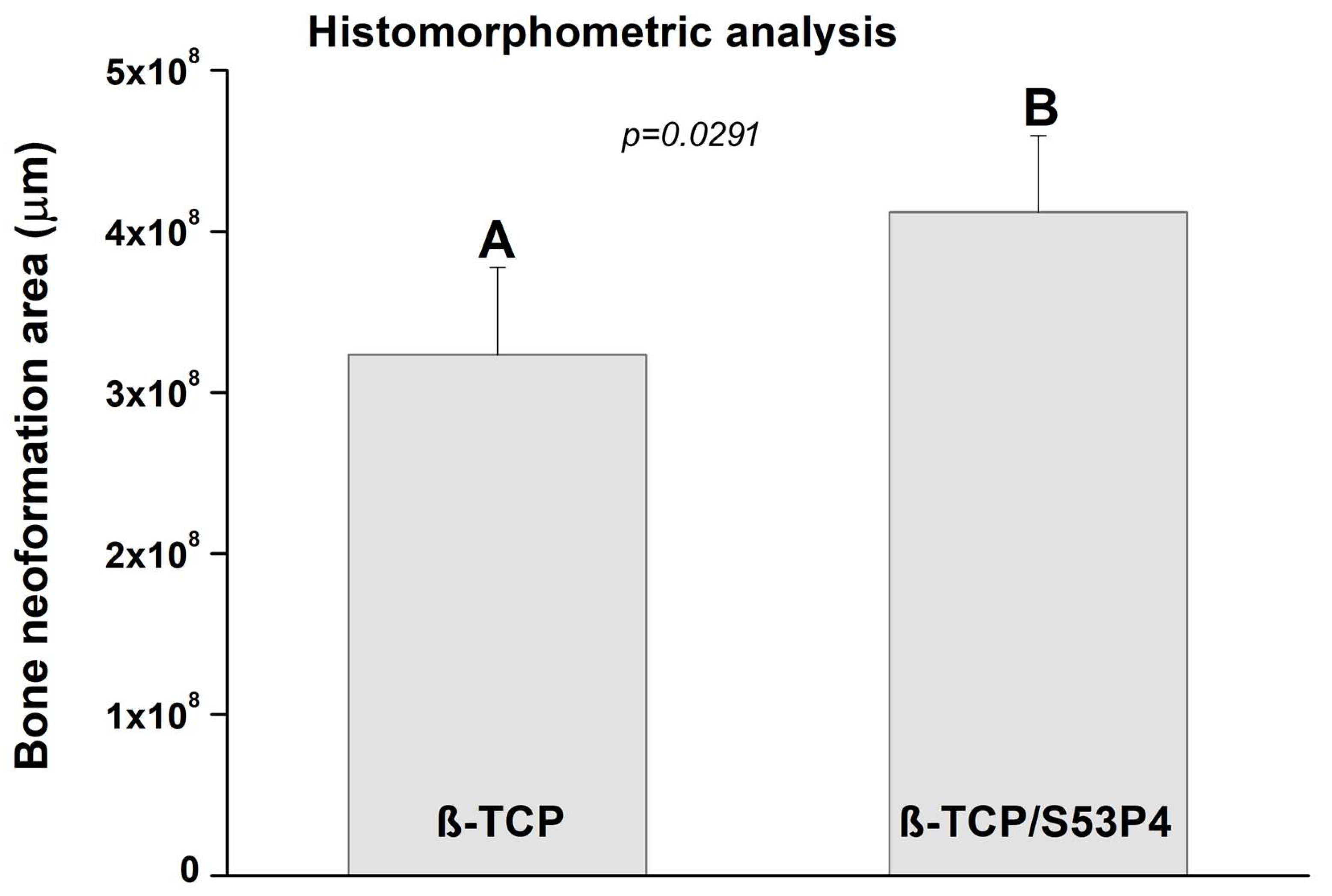 Bioengineering 10 00597 g009