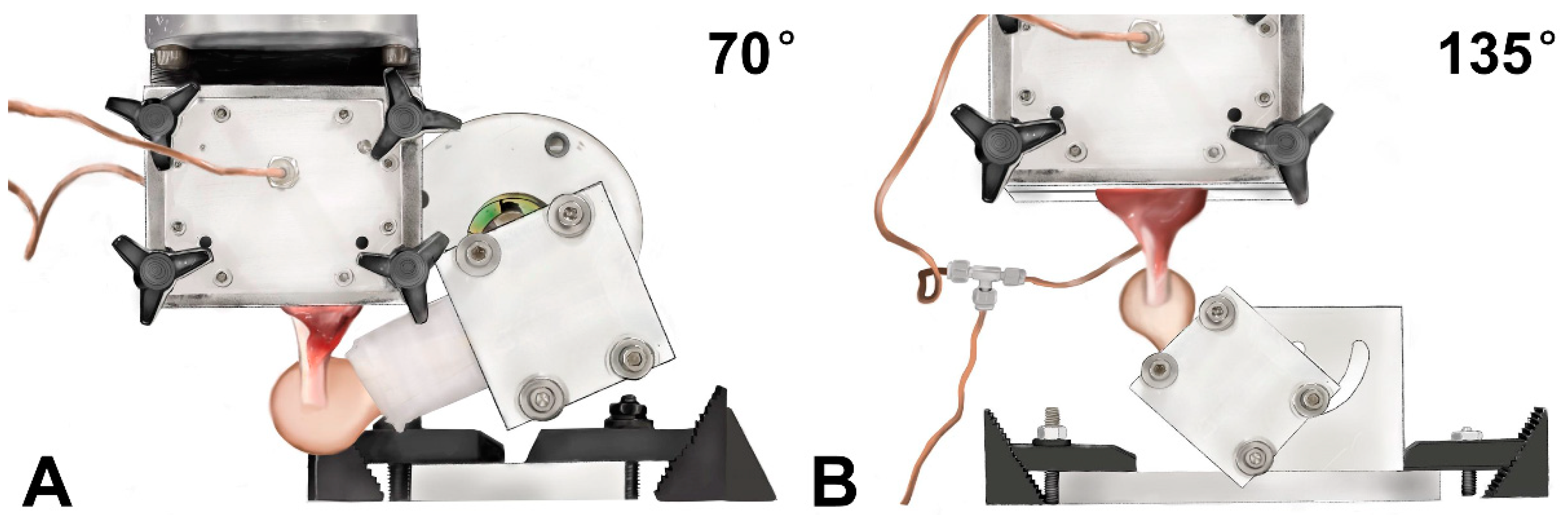 Bioengineering 10 00599 g002