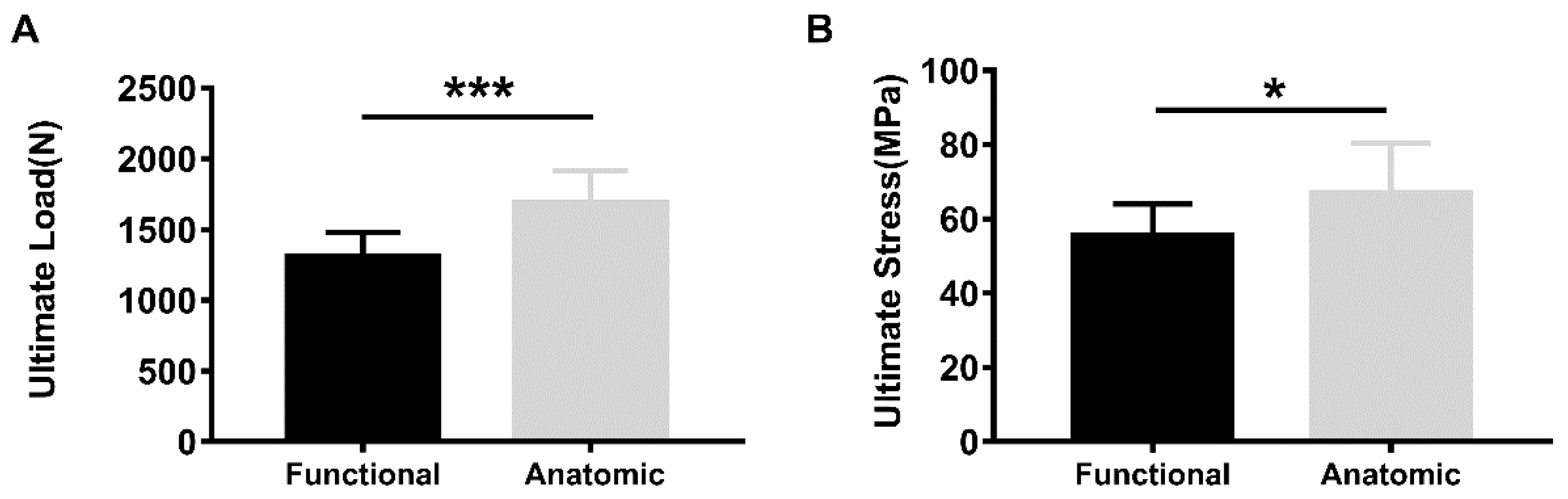 Bioengineering 10 00599 g004