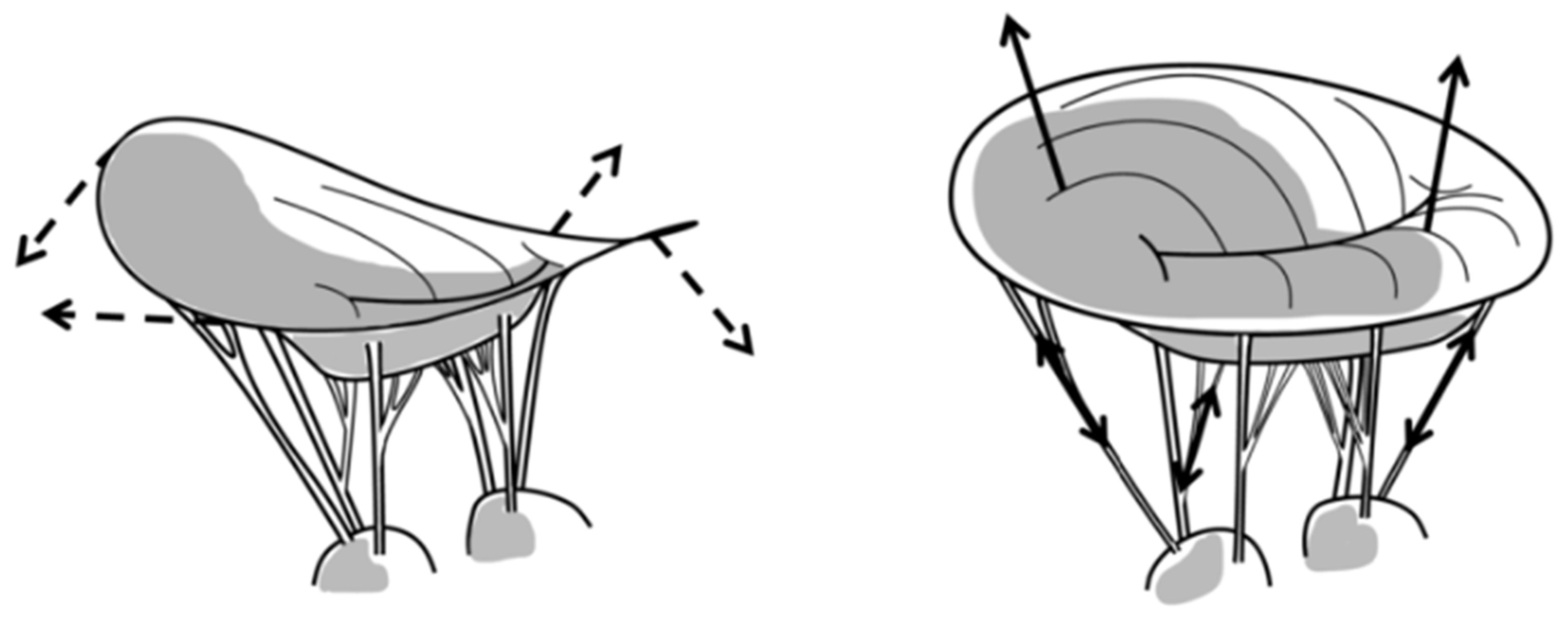 Bioengineering 10 00601 g004