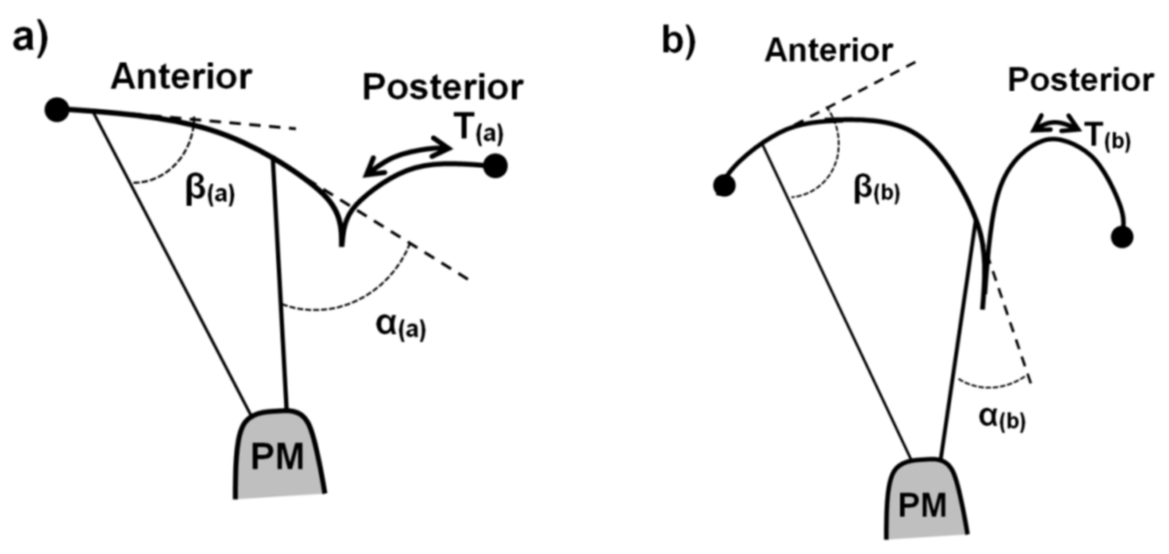 Bioengineering 10 00601 g005