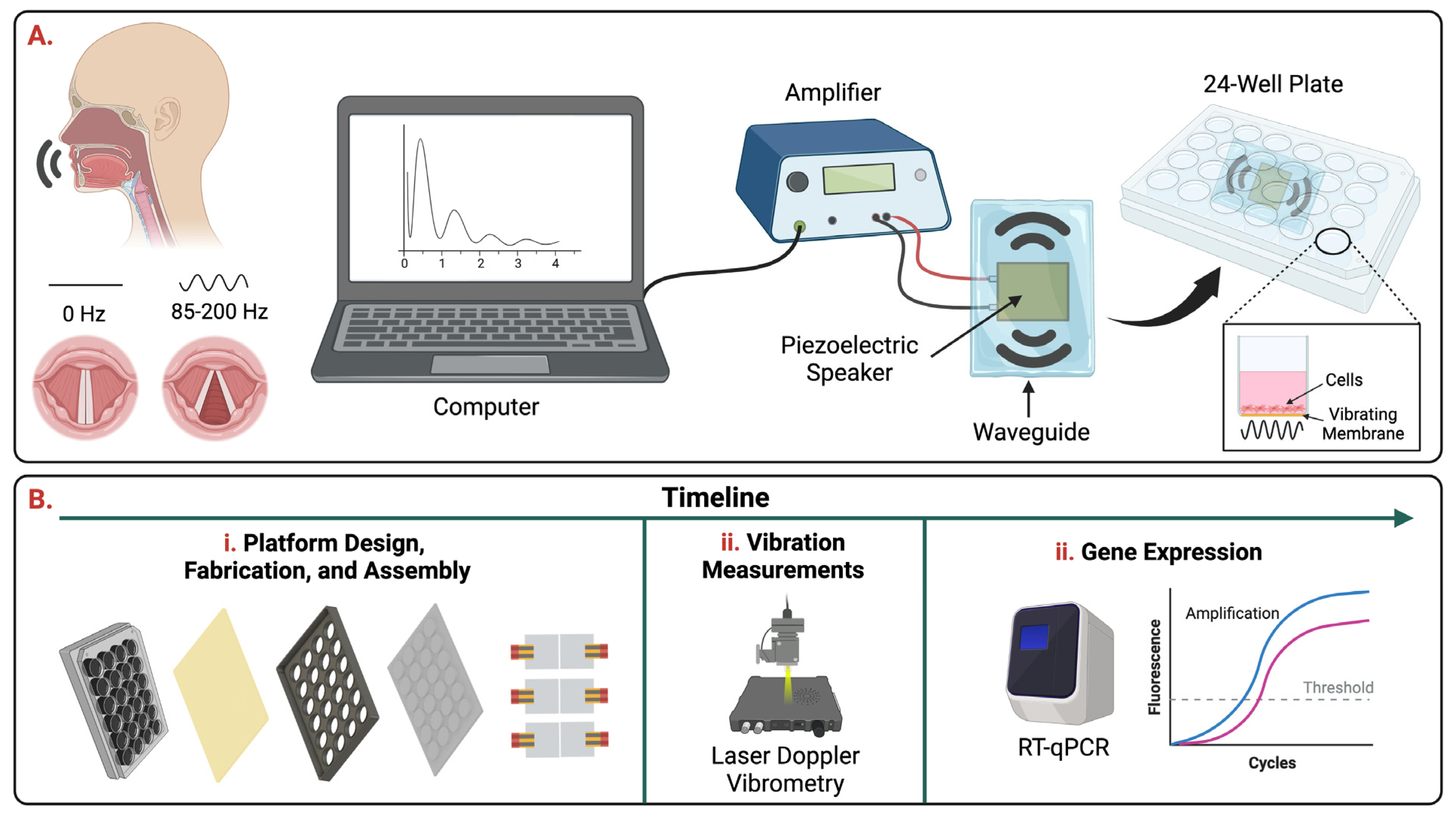 Bioengineering 10 00602 g001