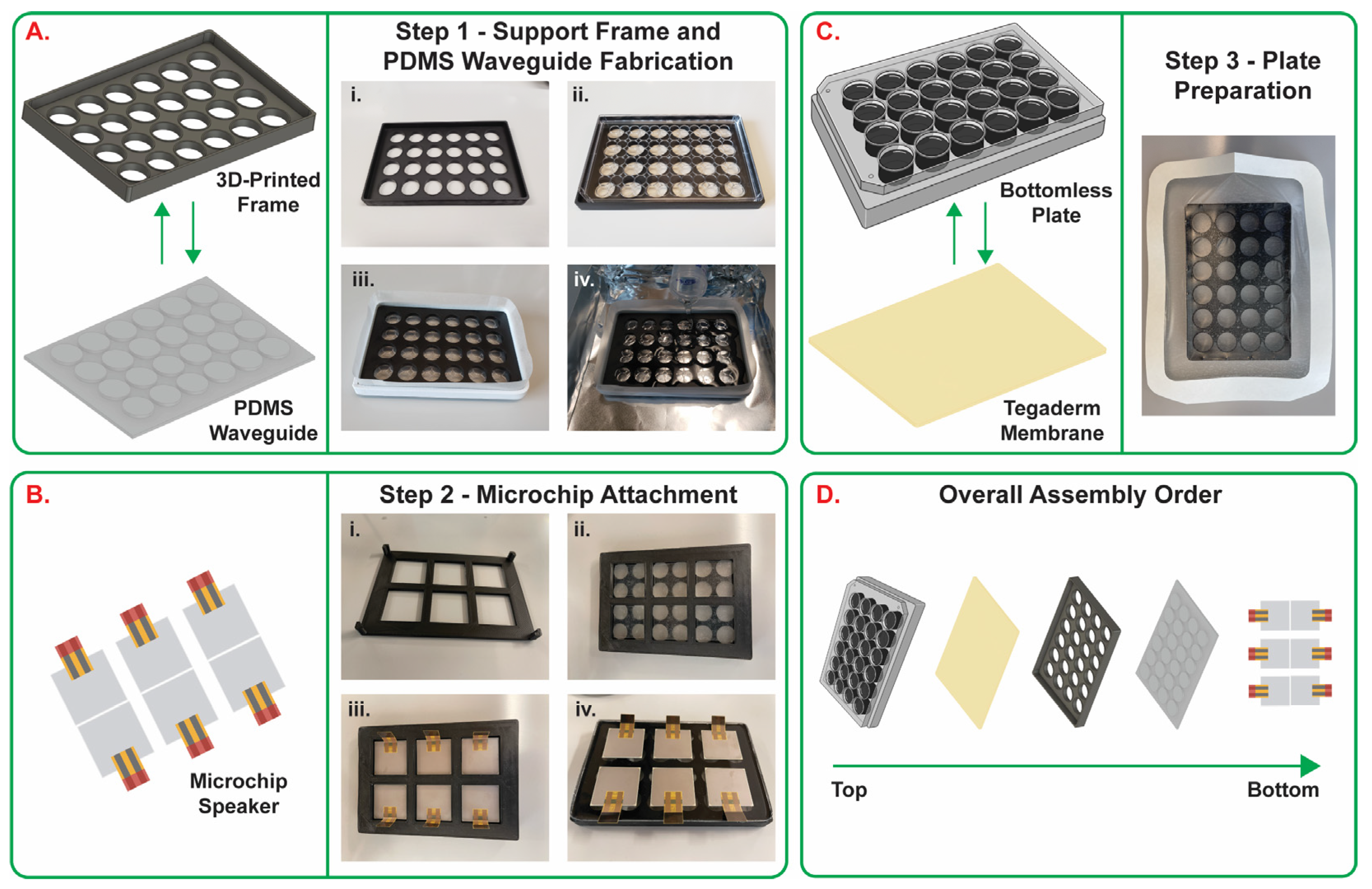 Bioengineering 10 00602 g002