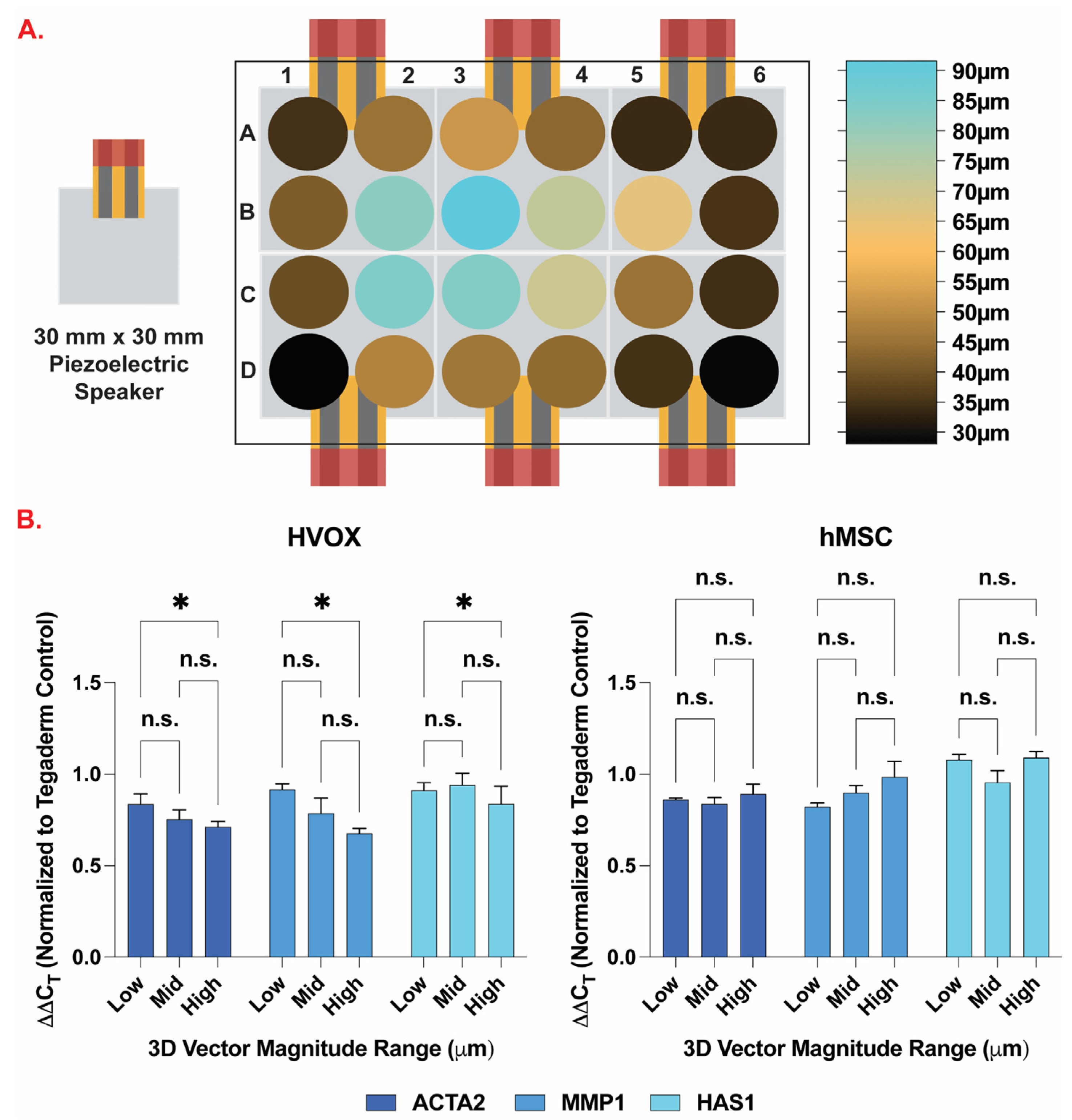 Bioengineering 10 00602 g005