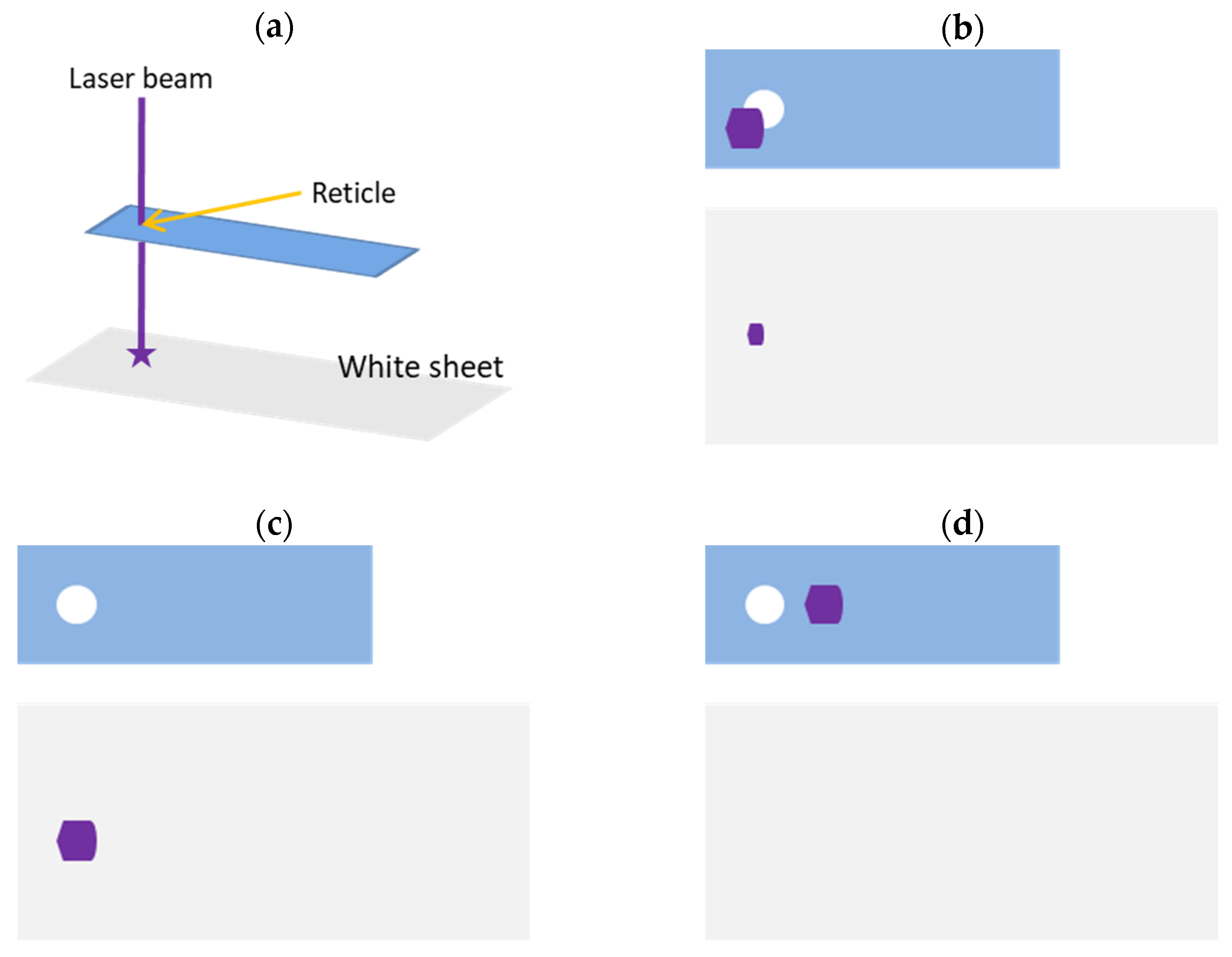 Bioengineering 10 00605 g002