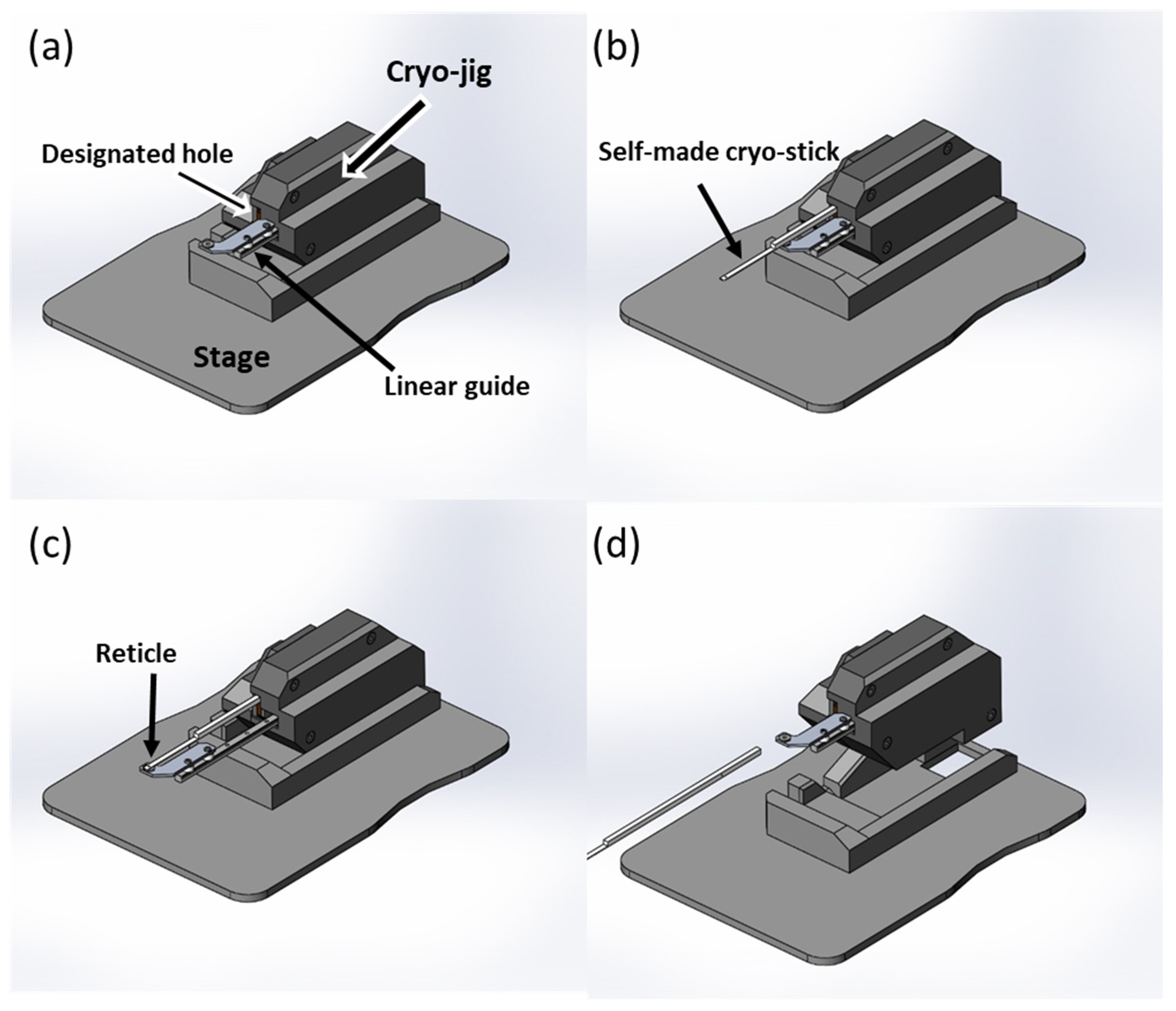 Bioengineering 10 00605 g003