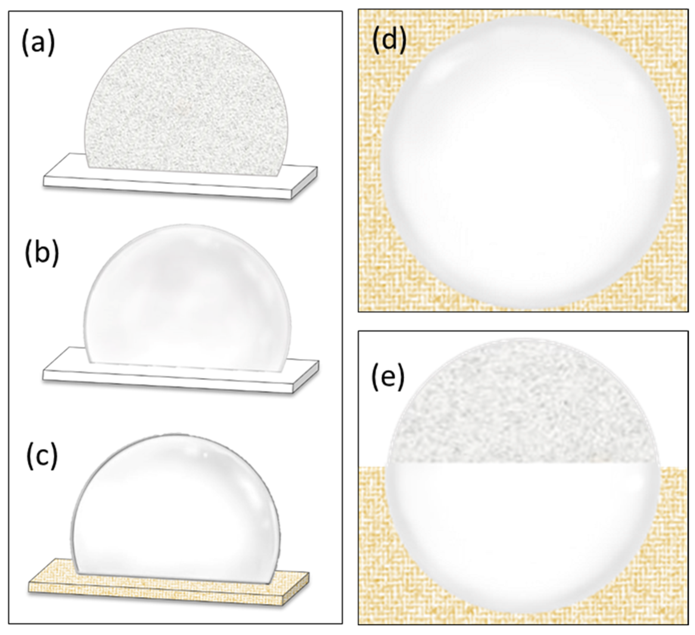 Bioengineering 10 00605 g005