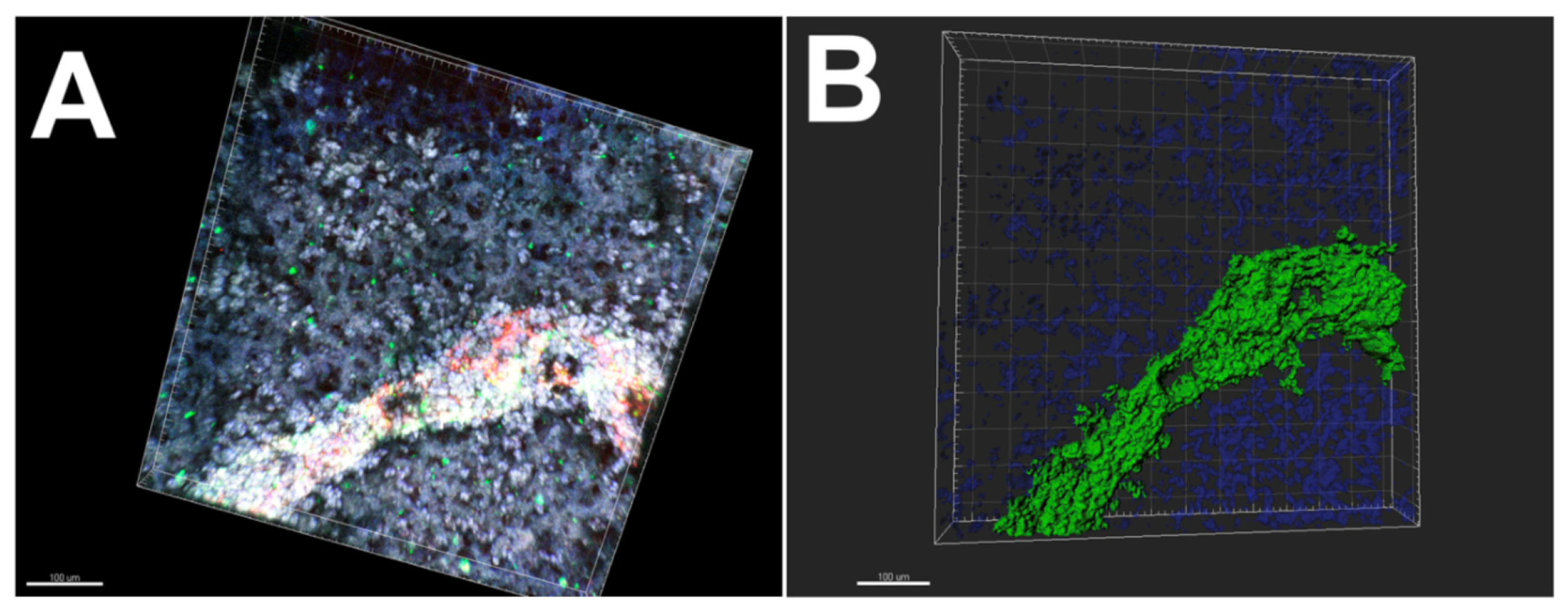 Bioengineering 10 00606 g004 Bioengineering 10 00606 g004