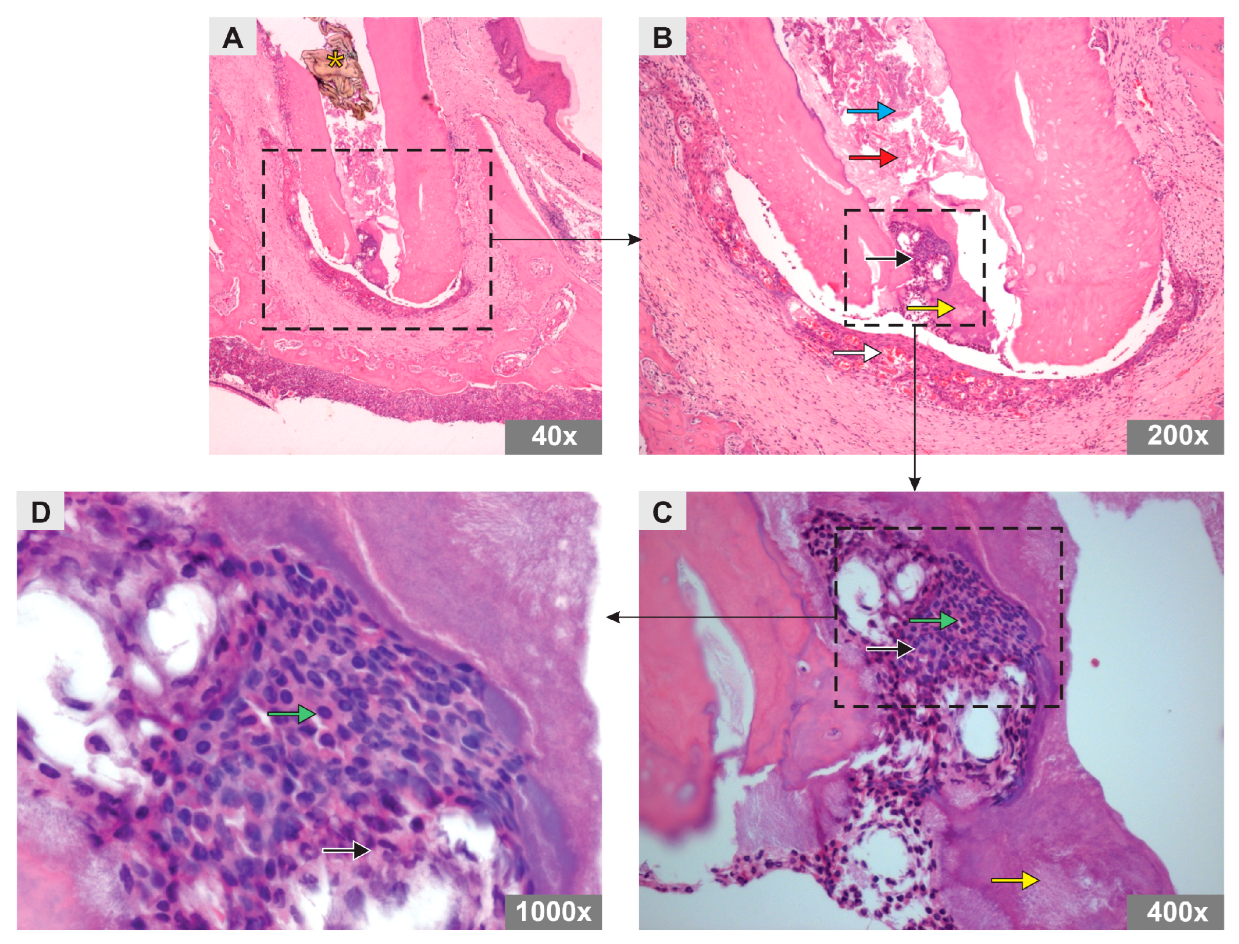 Bioengineering 10 00610 g002 Bioengineering 10 00610 g002