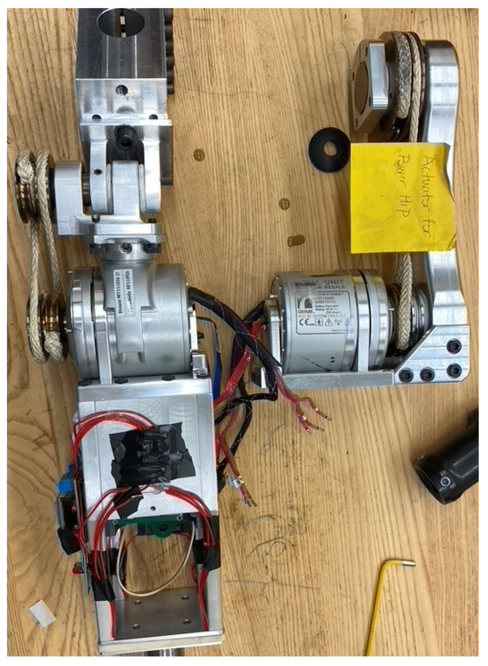 Bioengineering 10 00614 g004