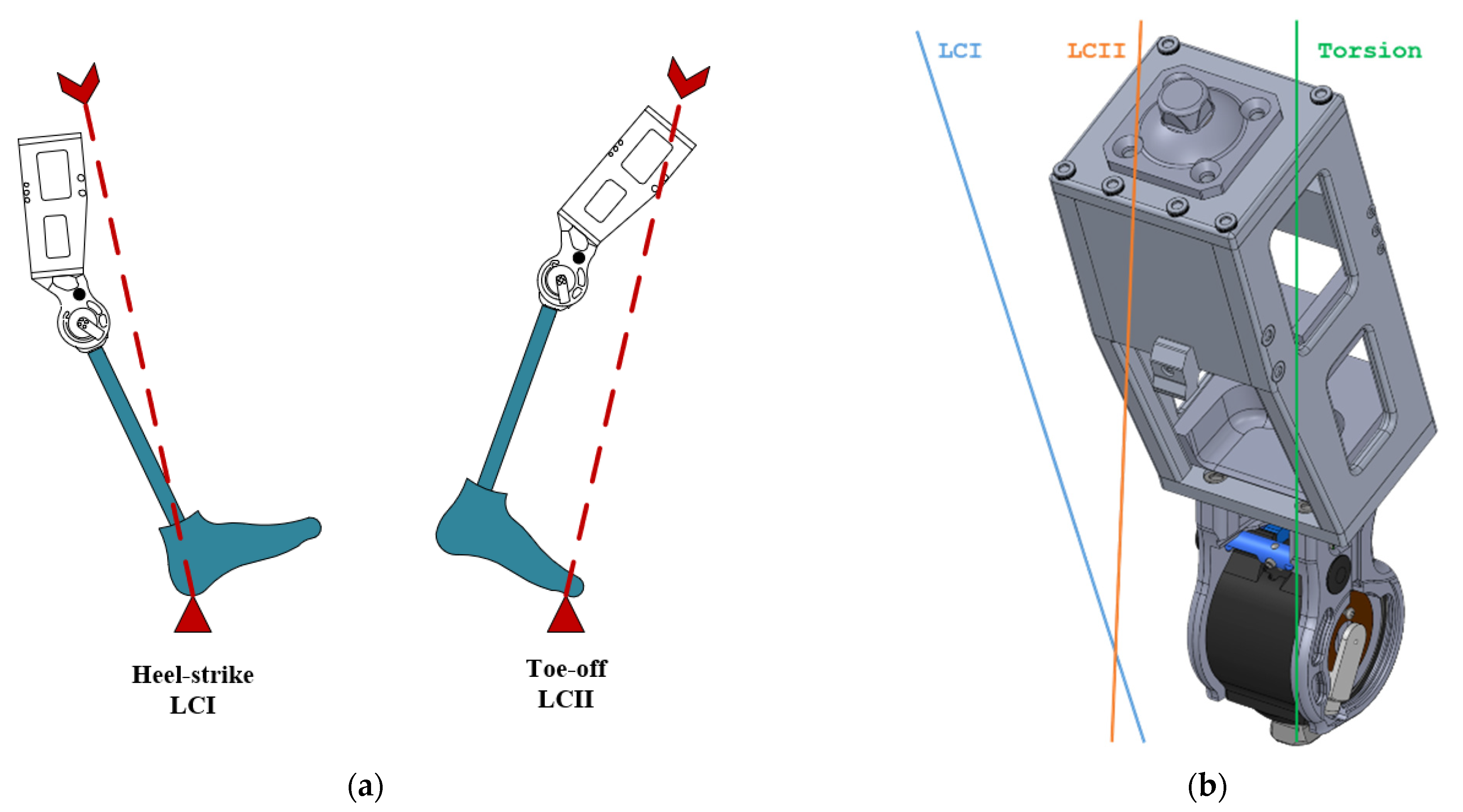 Bioengineering 10 00614 g005