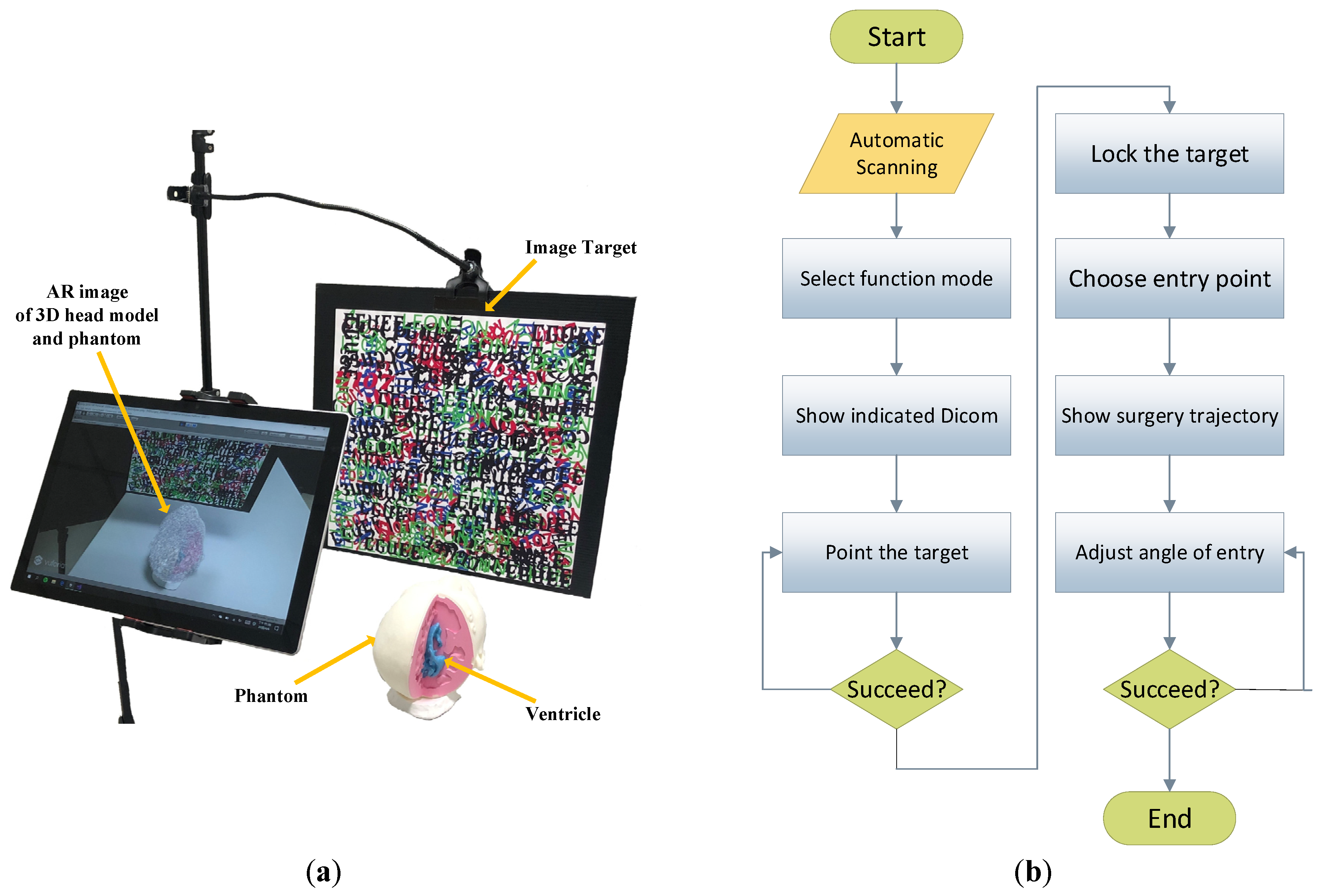 Bioengineering 10 00617 g001