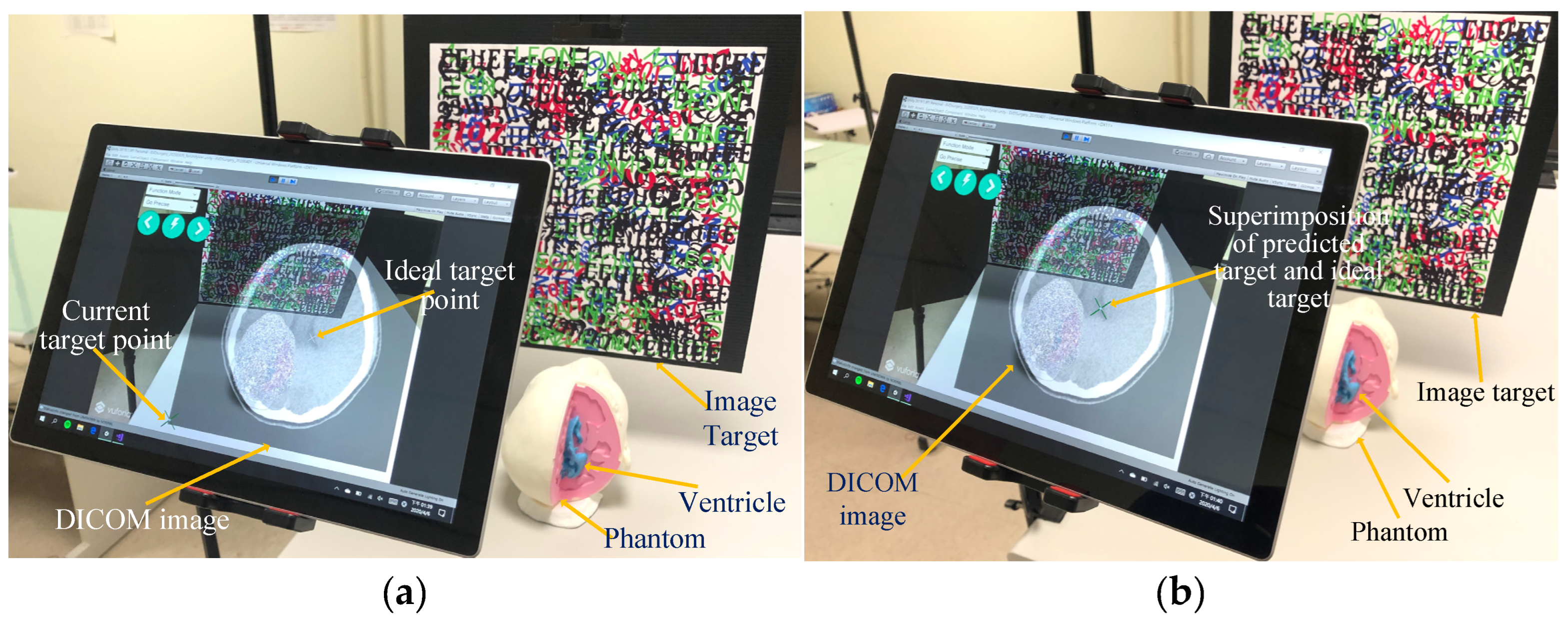 Bioengineering 10 00617 g002