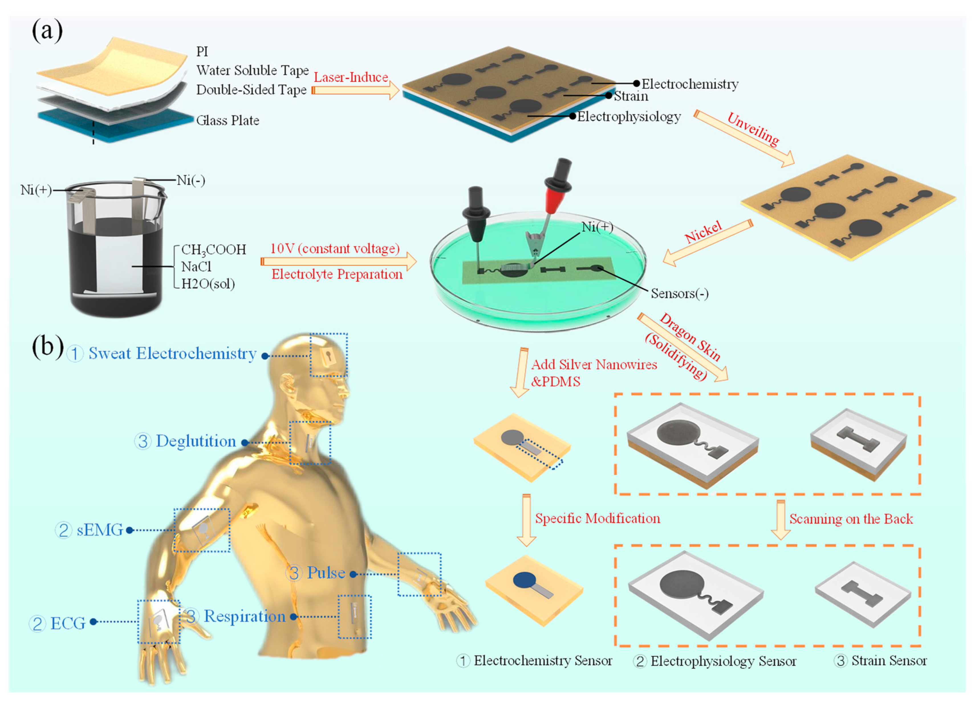 Bioengineering 10 00620 g001 Bioengineering 10 00620 g001