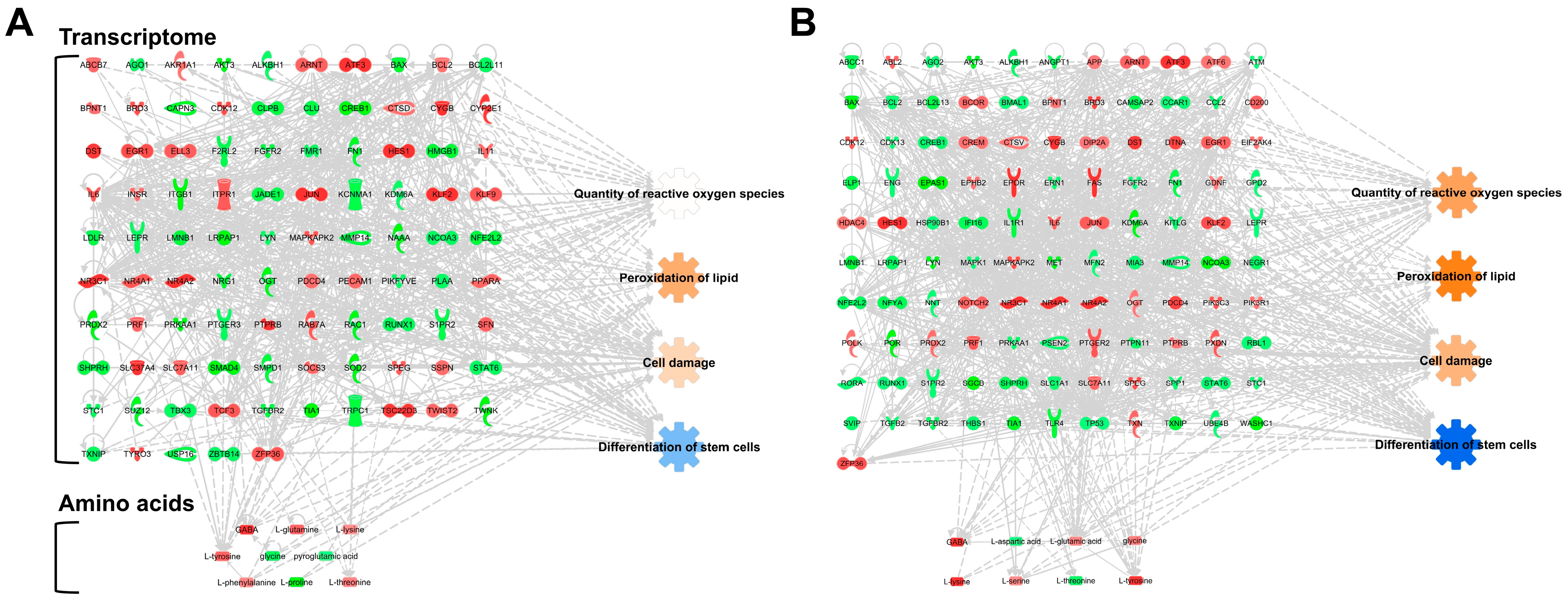 Bioengineering 10 00621 g003 Bioengineering 10 00621 g003