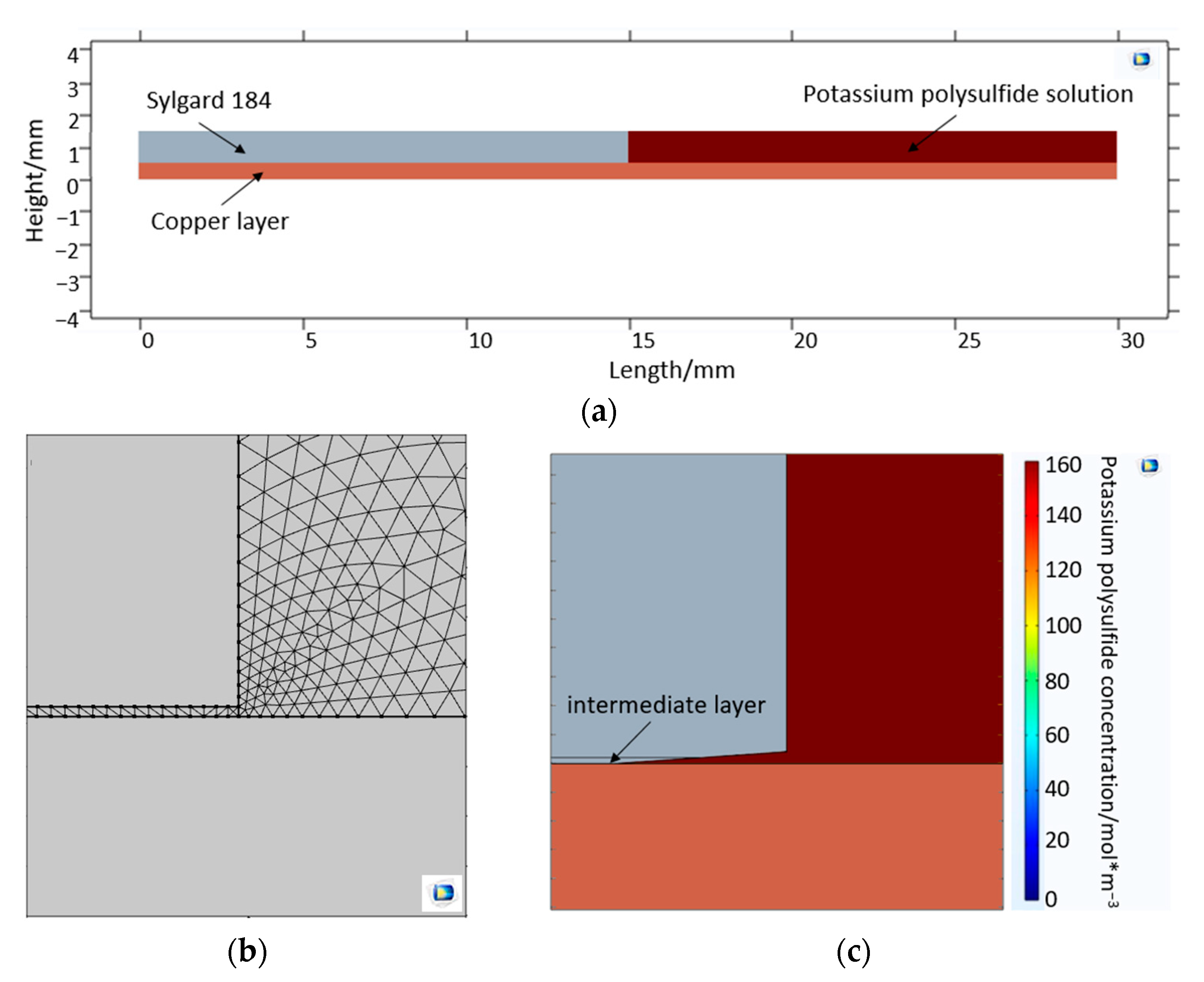 Bioengineering 10 00625 g004