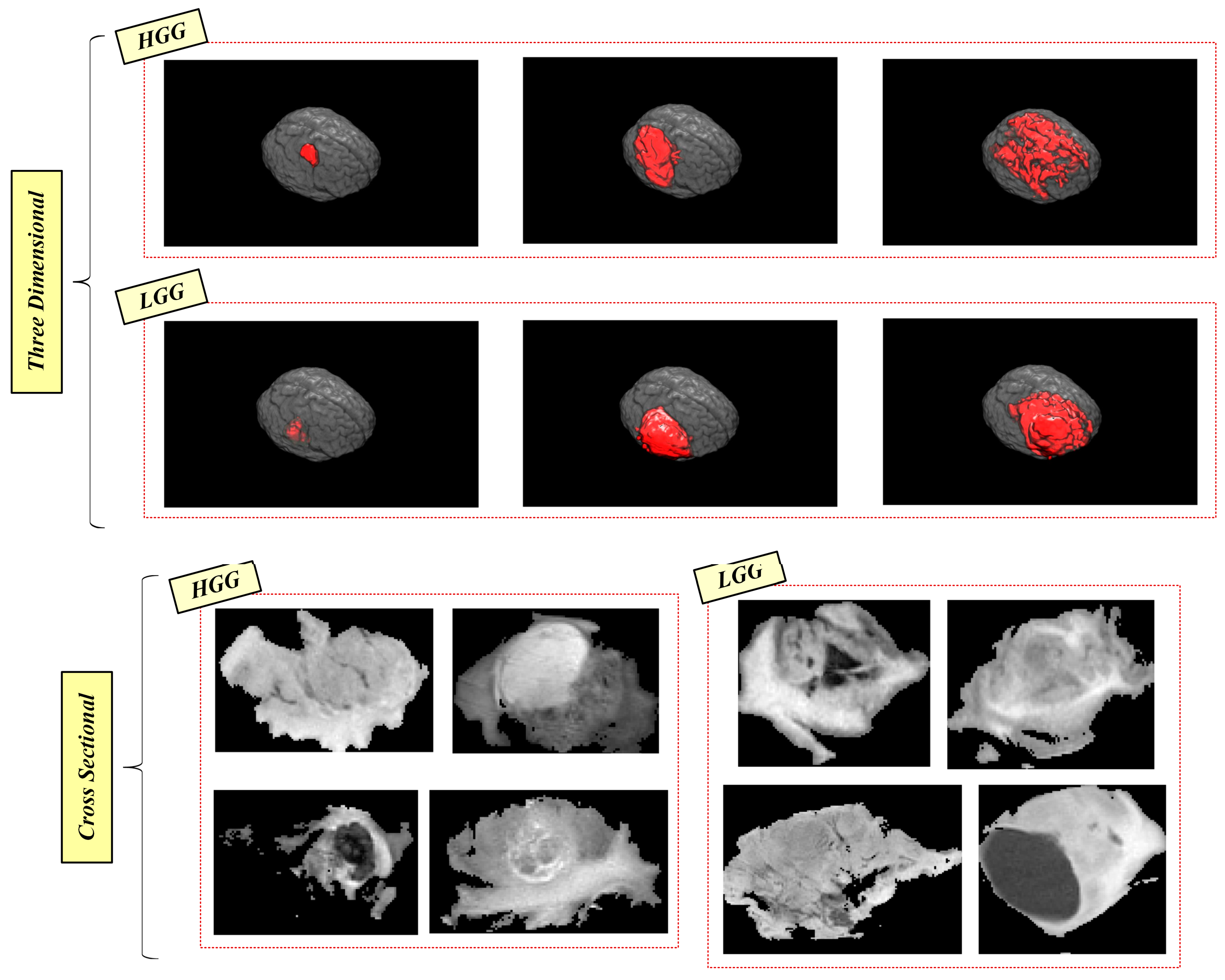 Bioengineering 10 00629 g003 550
