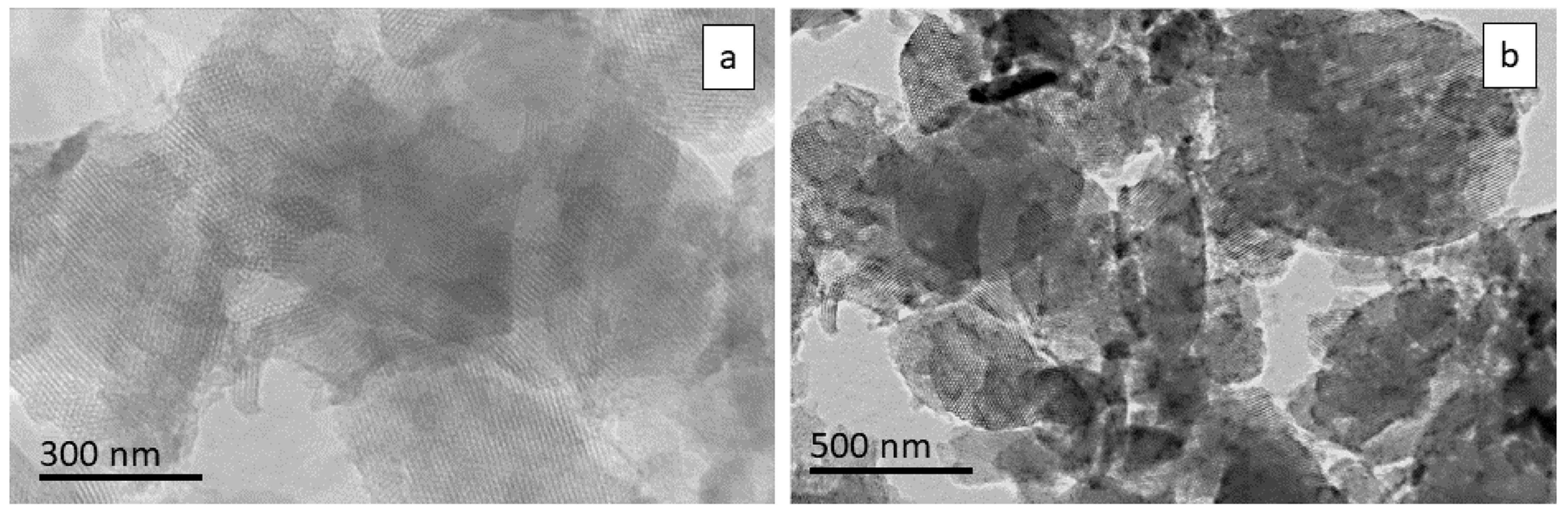 Bioengineering 10 00637 g003 Bioengineering 10 00637 g003