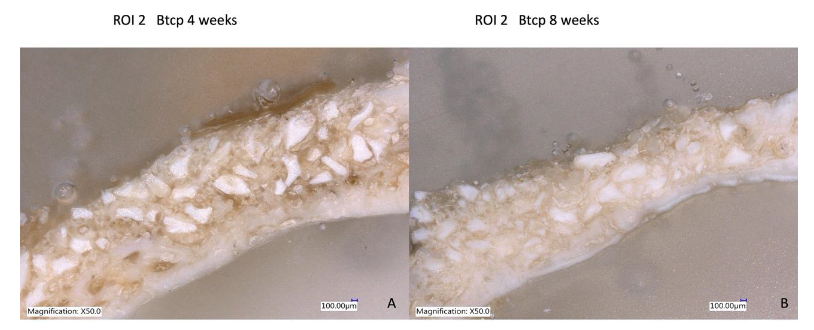 Bioengineering 10 00638 g013