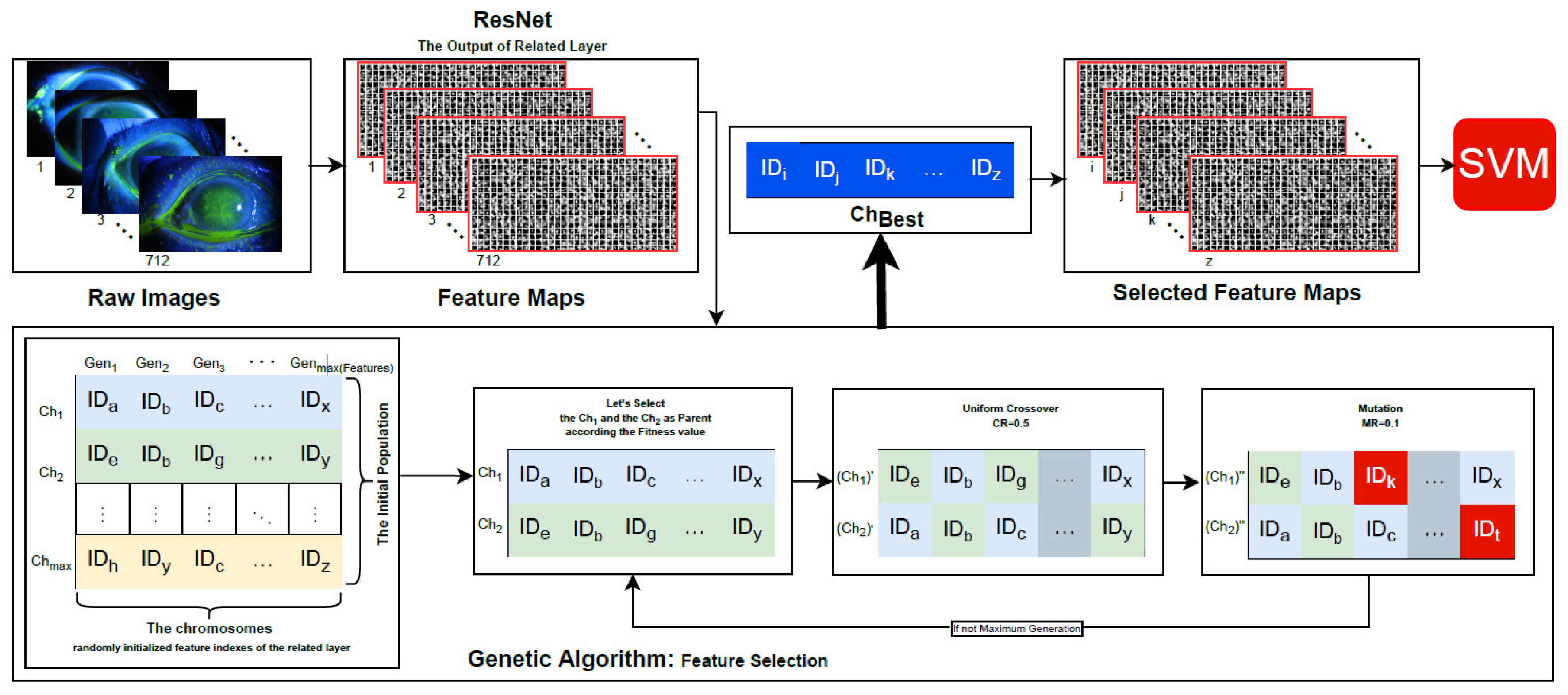 Bioengineering 10 00639 g004