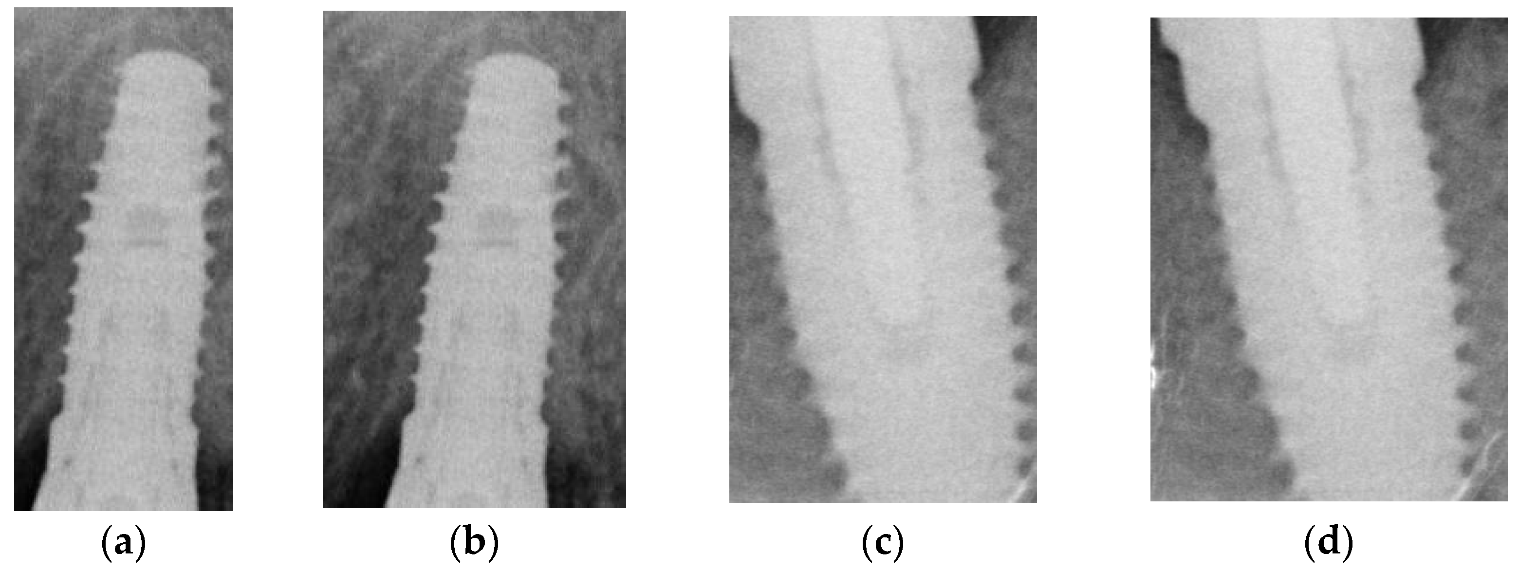 Bioengineering 10 00640 g003