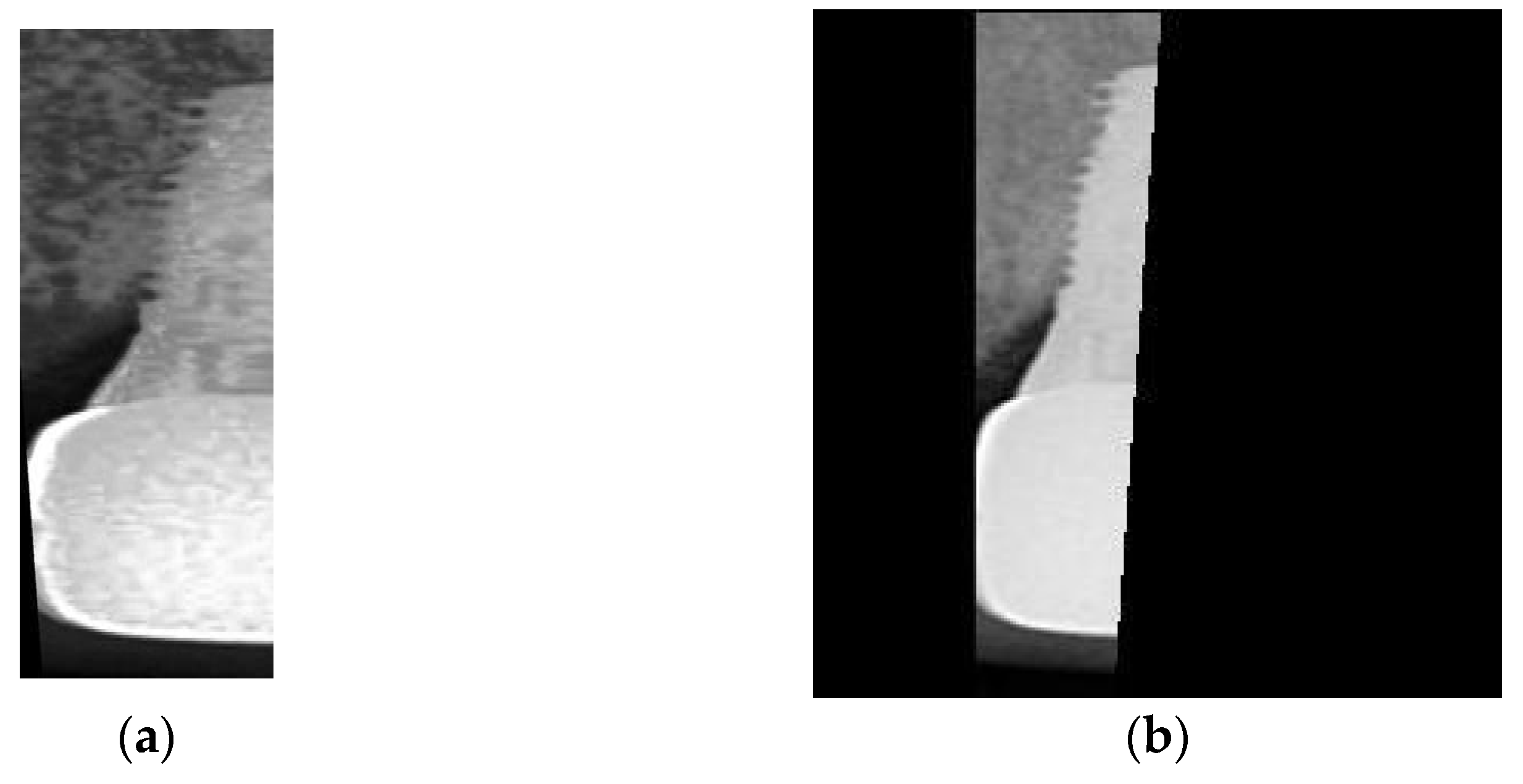 Bioengineering 10 00640 g008