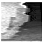 Bioengineering 10 00640 i001