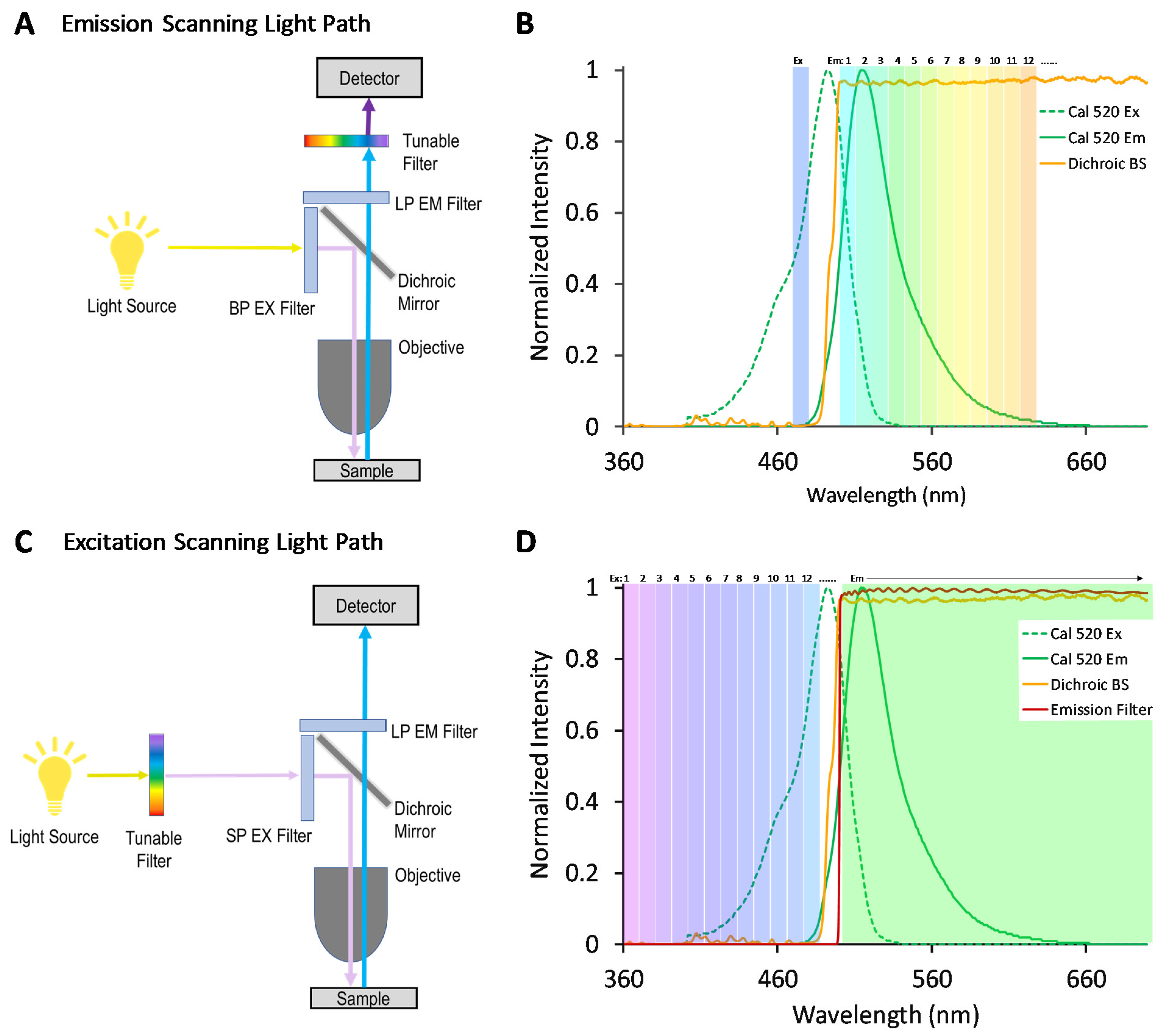 Bioengineering Free FullText Comparing Performance of Spectral