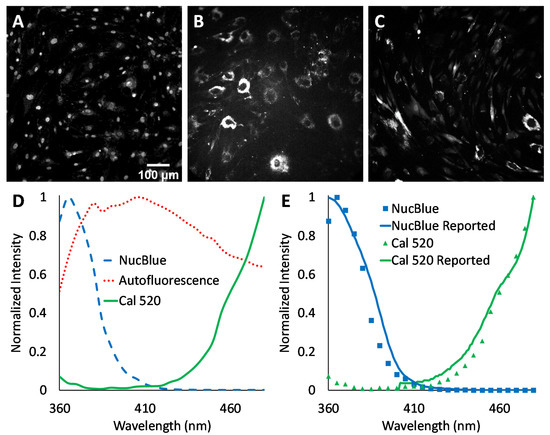 Comparing Performance of Spectral Image Analysis Approaches for ...
