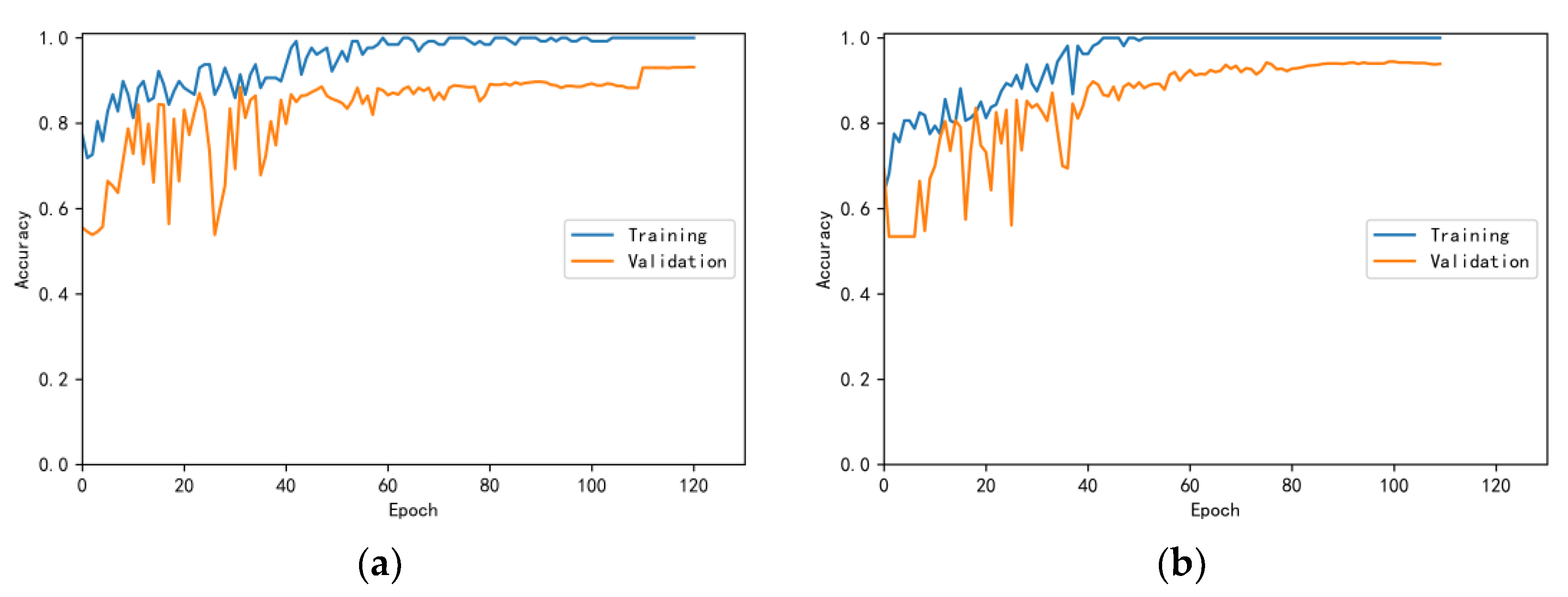 Bioengineering 10 00645 g006 550
