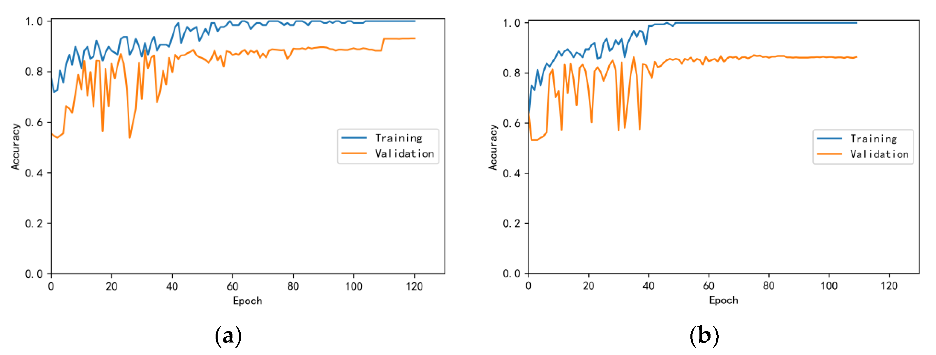 Bioengineering 10 00645 g007 550