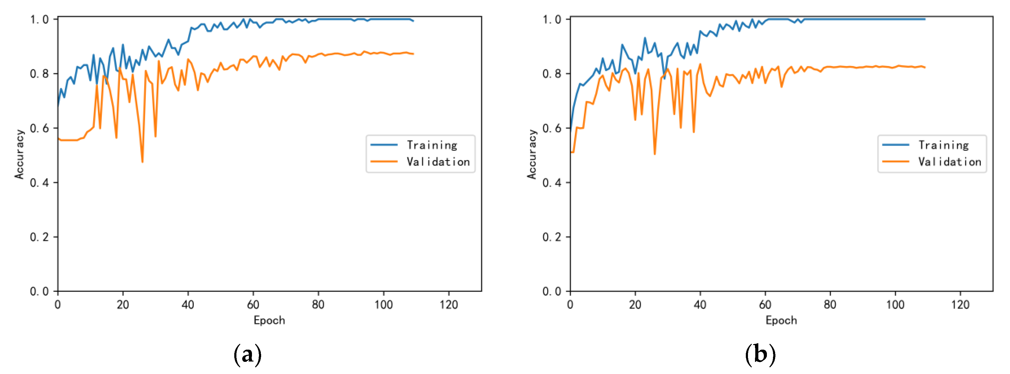 Bioengineering 10 00645 g008 550