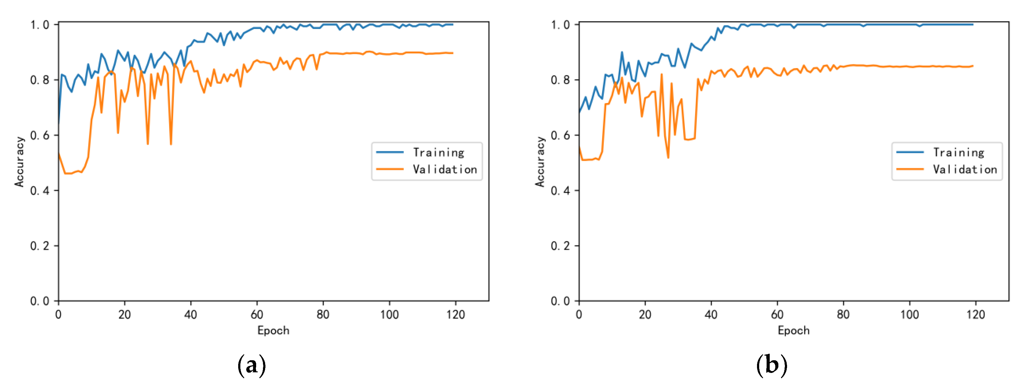 Bioengineering 10 00645 g009 550