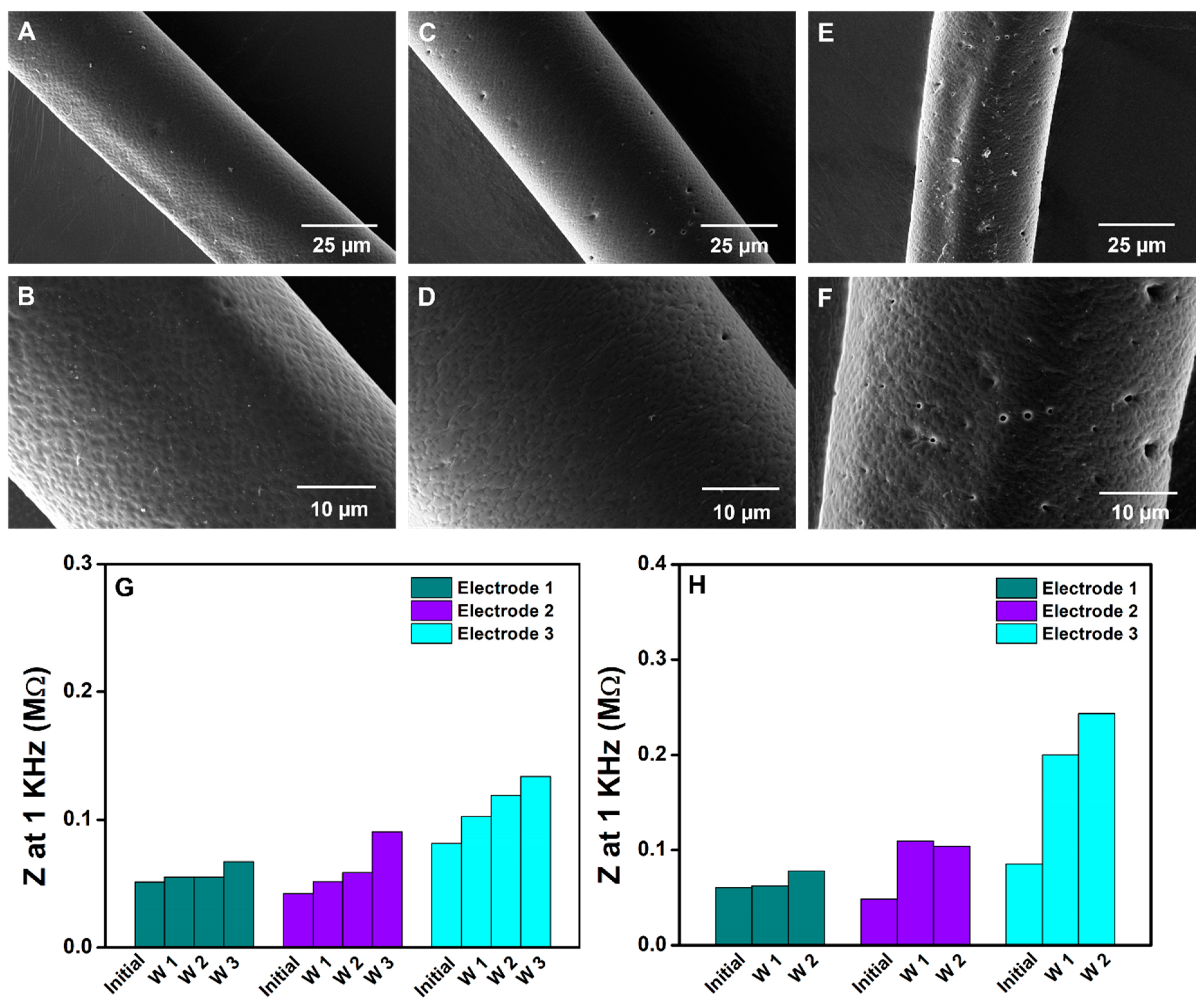 Bioengineering 10 00647 g006 Bioengineering 10 00647 g006