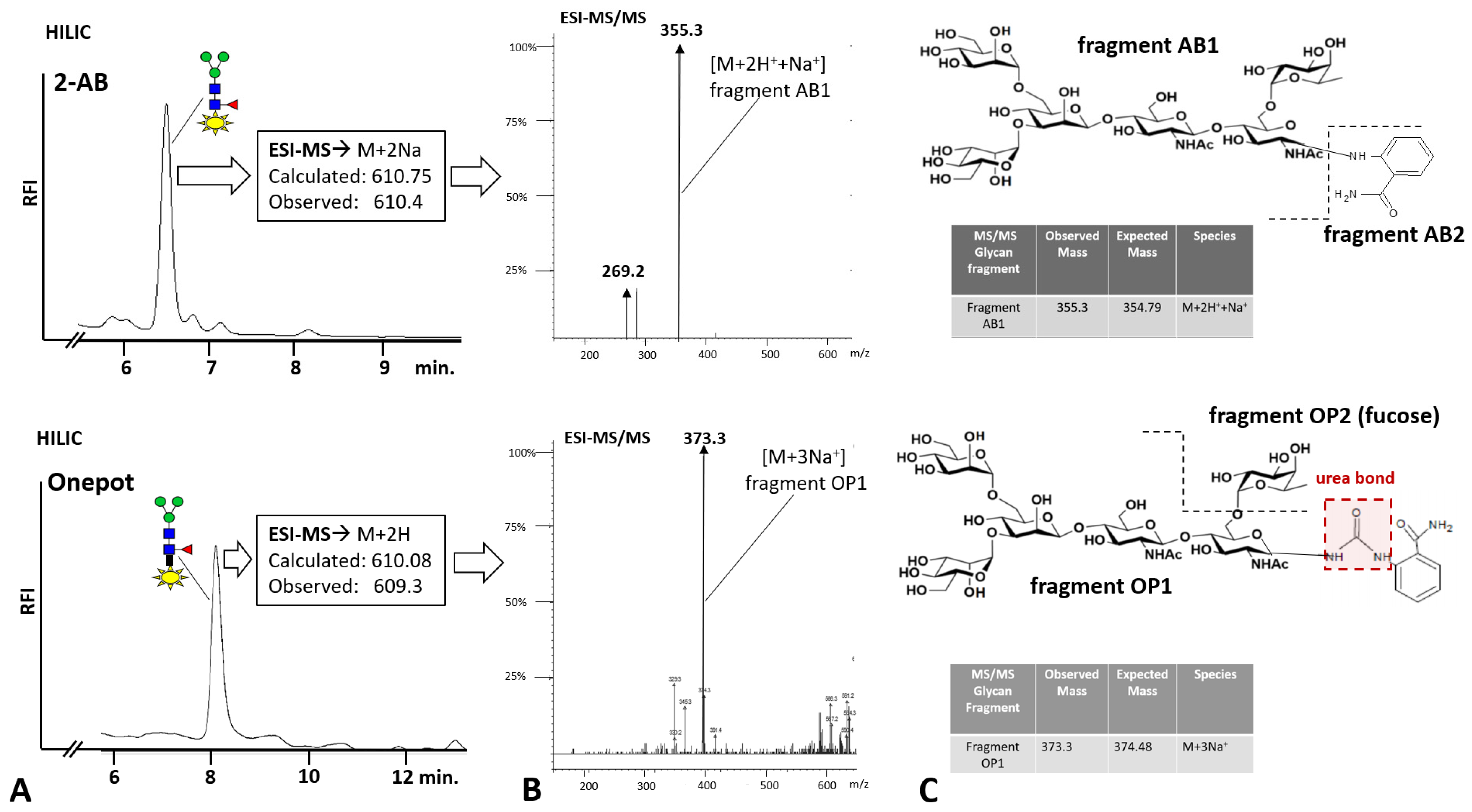 Bioengineering 10 00651 g004