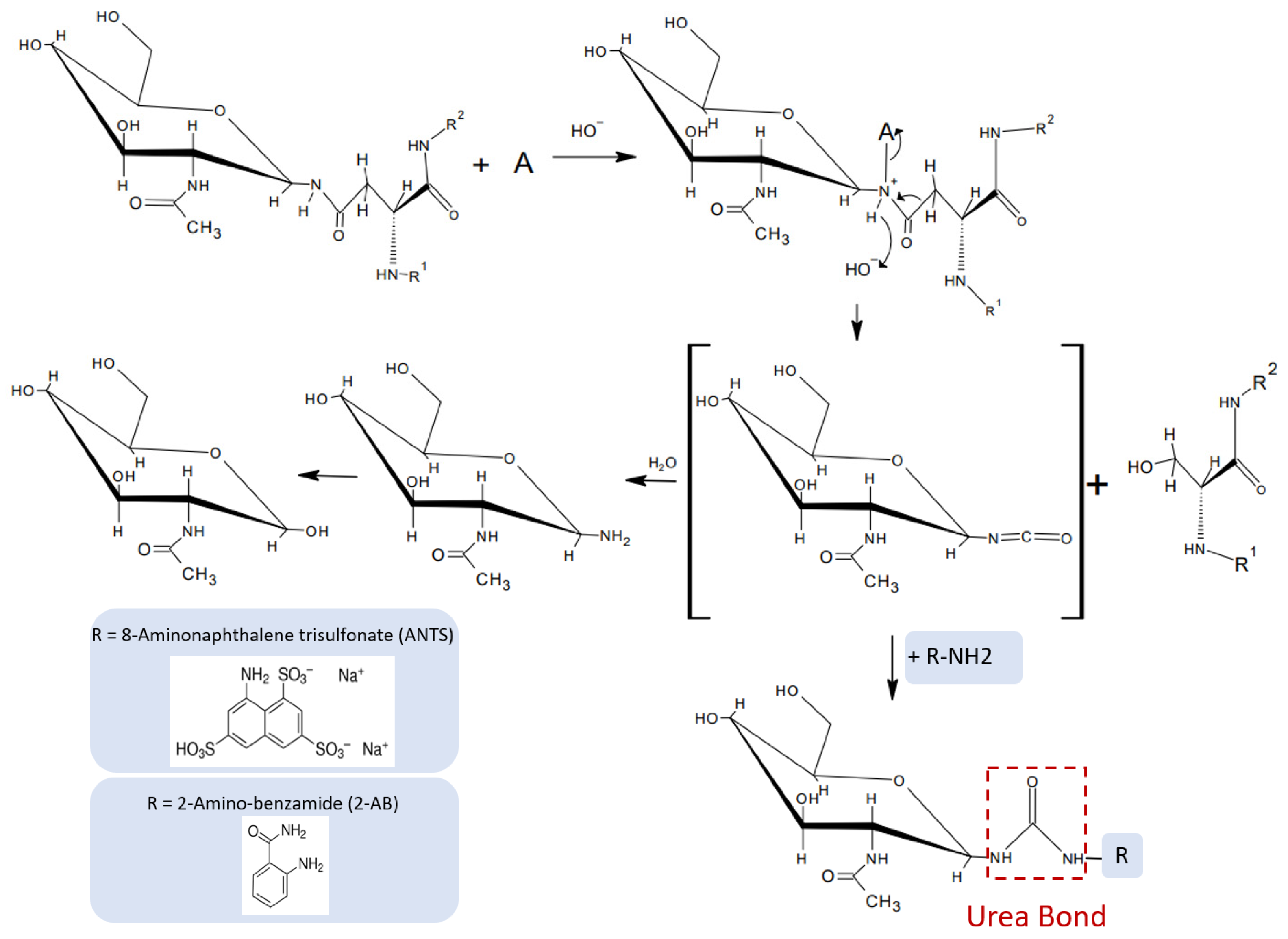 Bioengineering 10 00651 g005