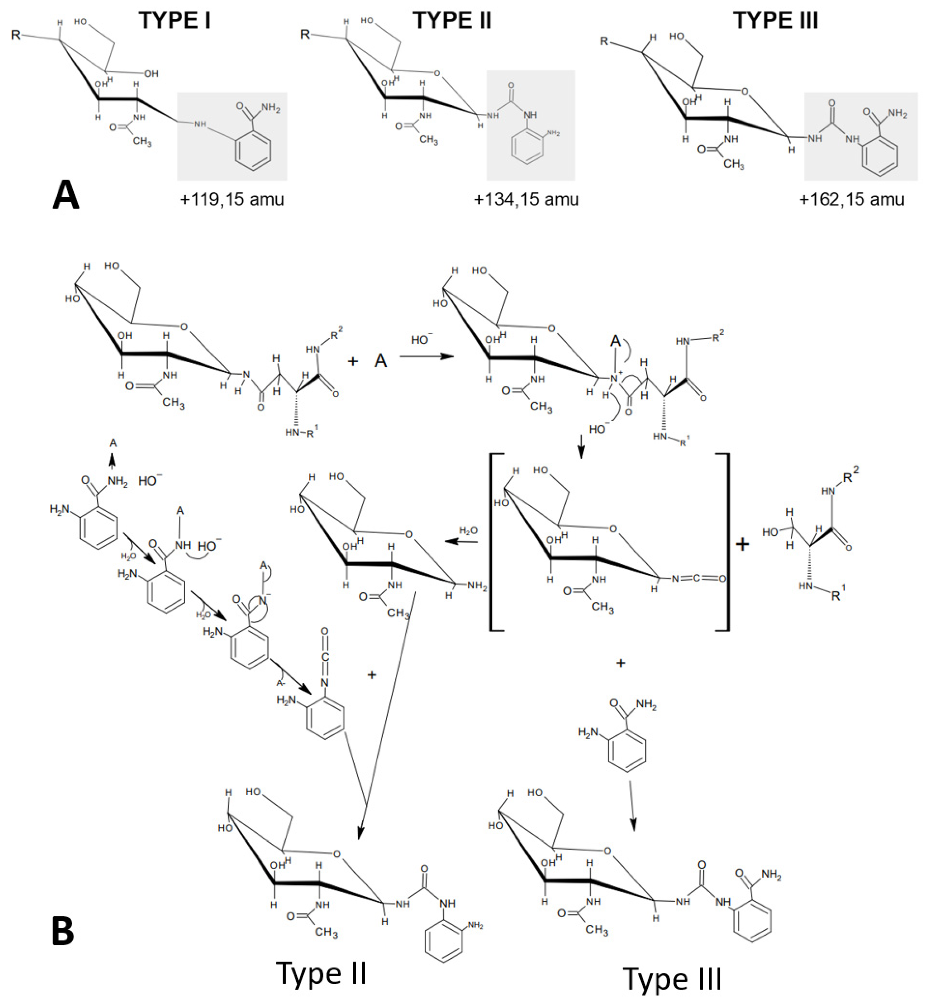 Bioengineering 10 00651 g006