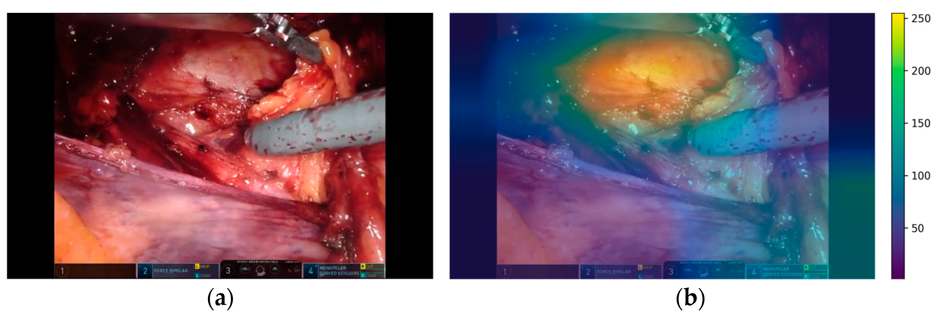 Bioengineering 10 00654 g002 Bioengineering 10 00654 g002